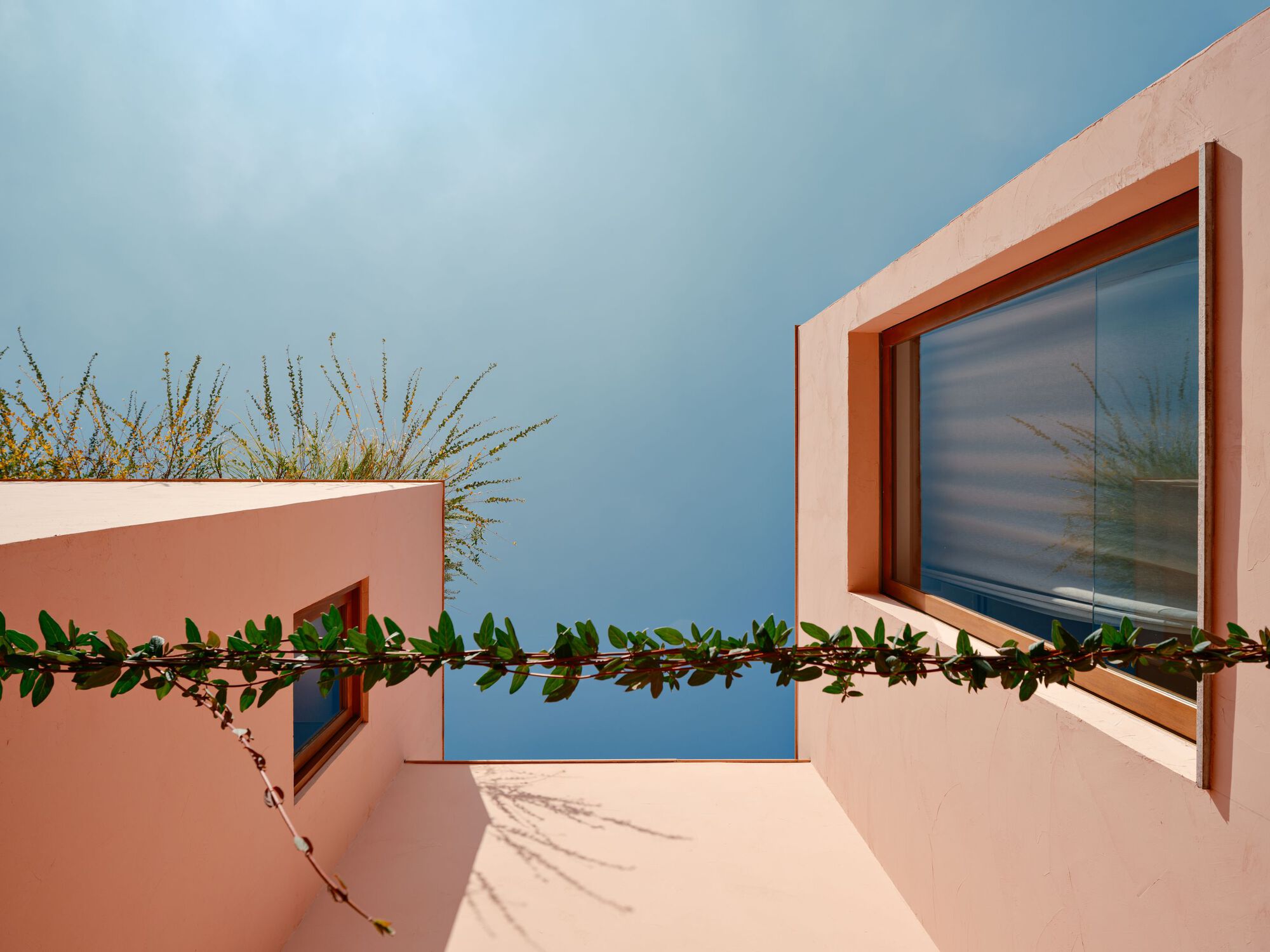 Upward view of two pink volumes with timber-framed windows, a leafy vine strung across the gap under a hazy blue sky