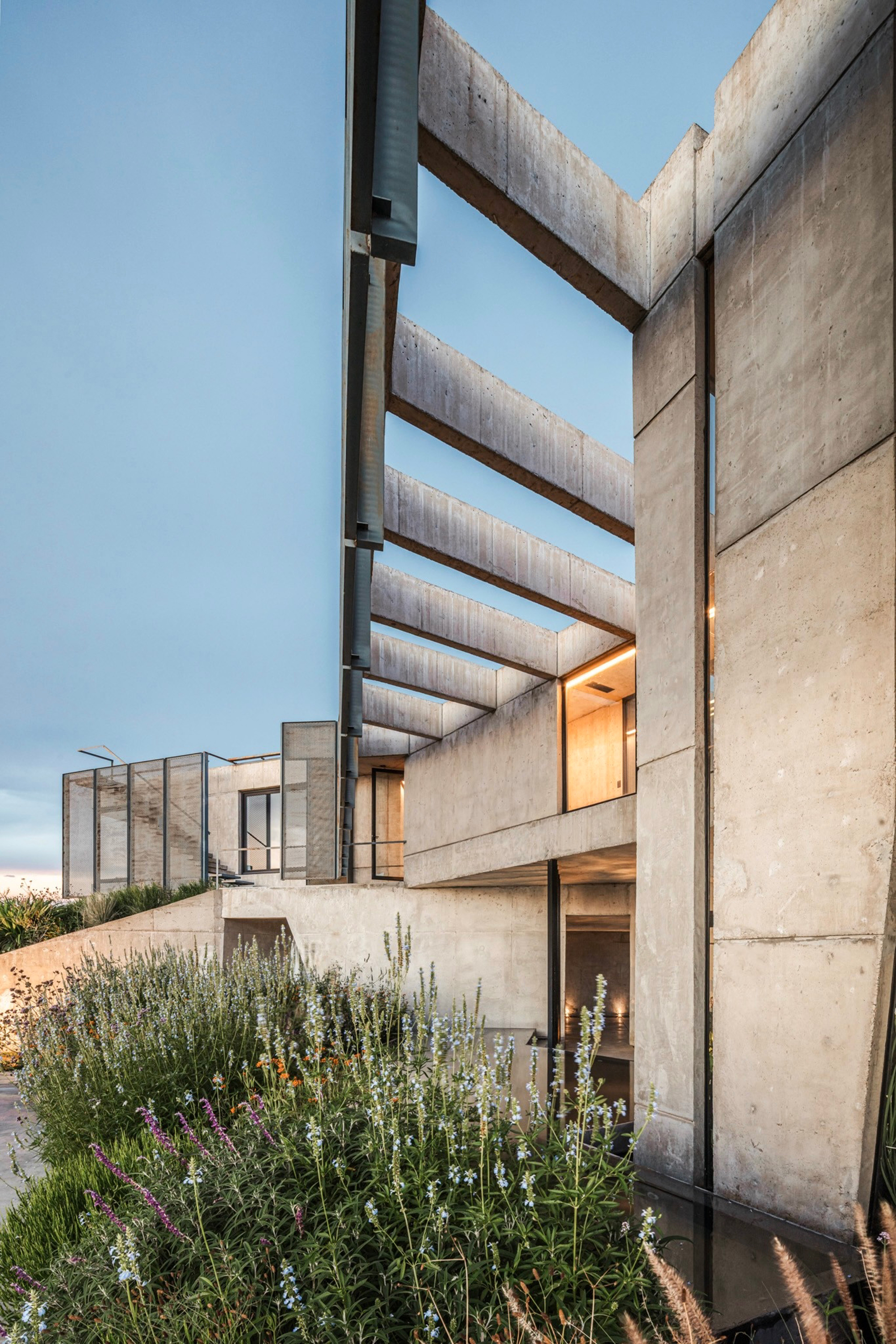 Board-formed concrete beams and walls rising behind lavender and wildflowers in blue evening light