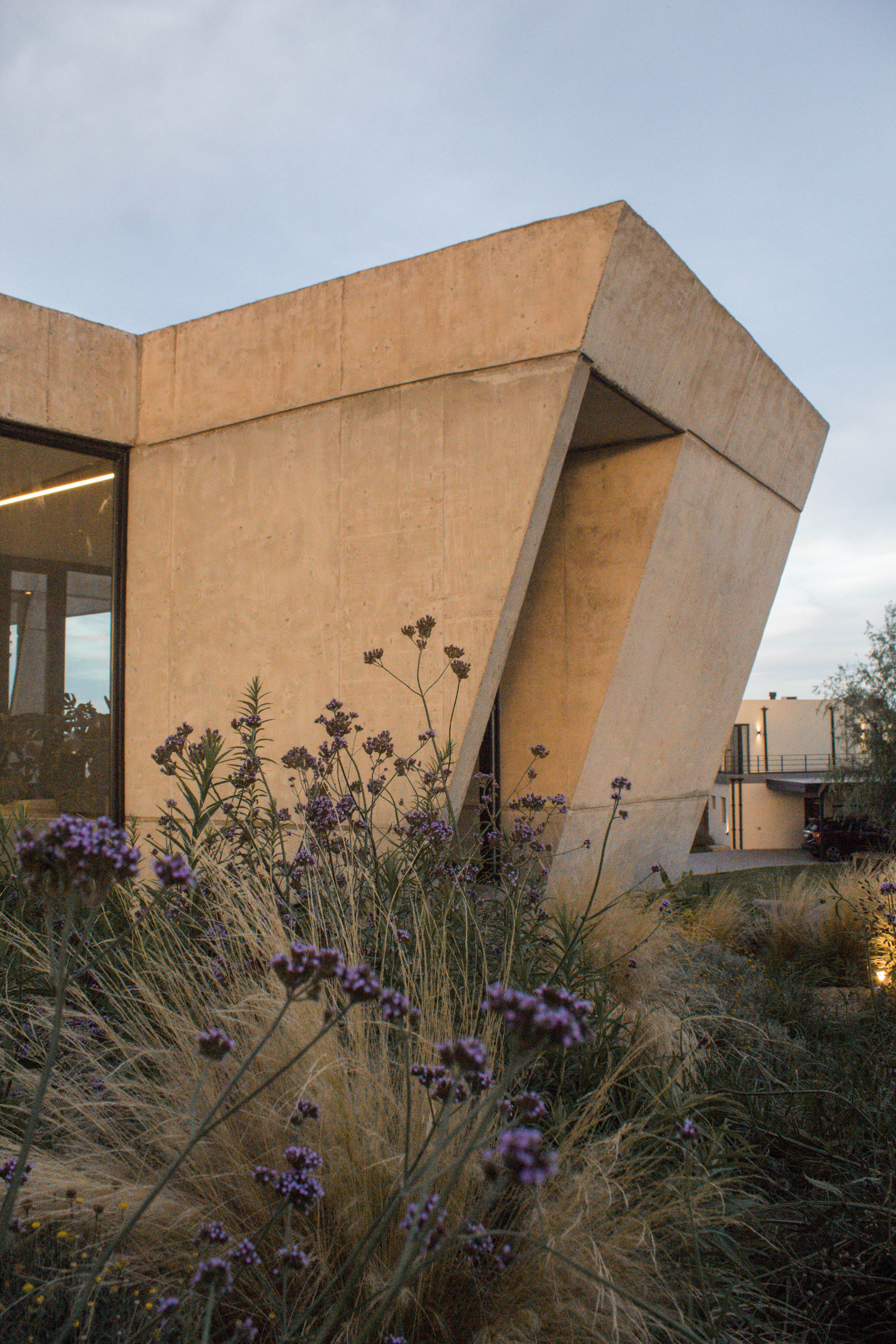 Angled concrete volume with a slanted corner opening behind purple verbena and tall grasses in dusk light