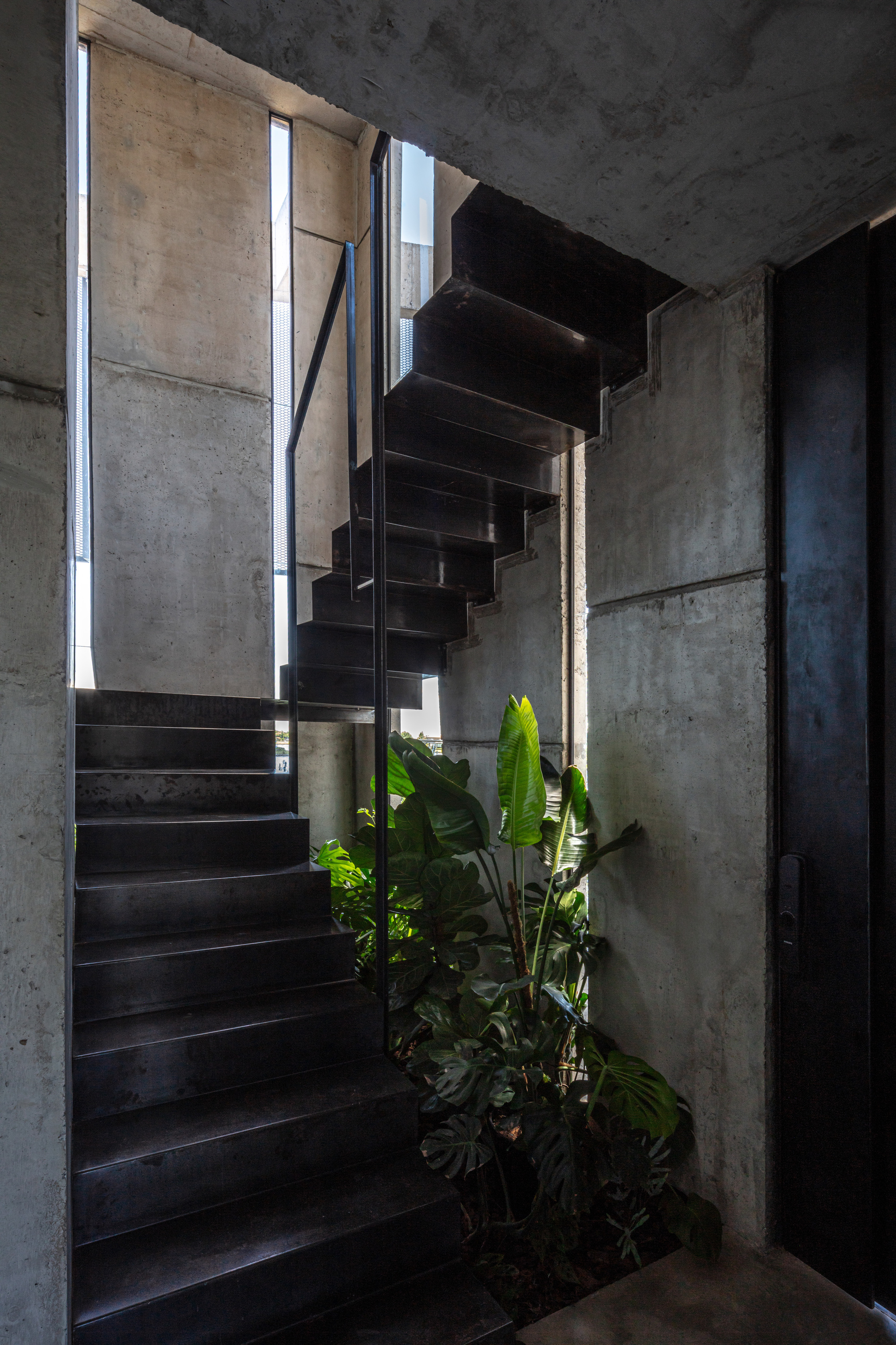 Black steel stair rising beside board-marked concrete walls, with a planted bed of monstera and bird-of-paradise lit by a narrow window slit