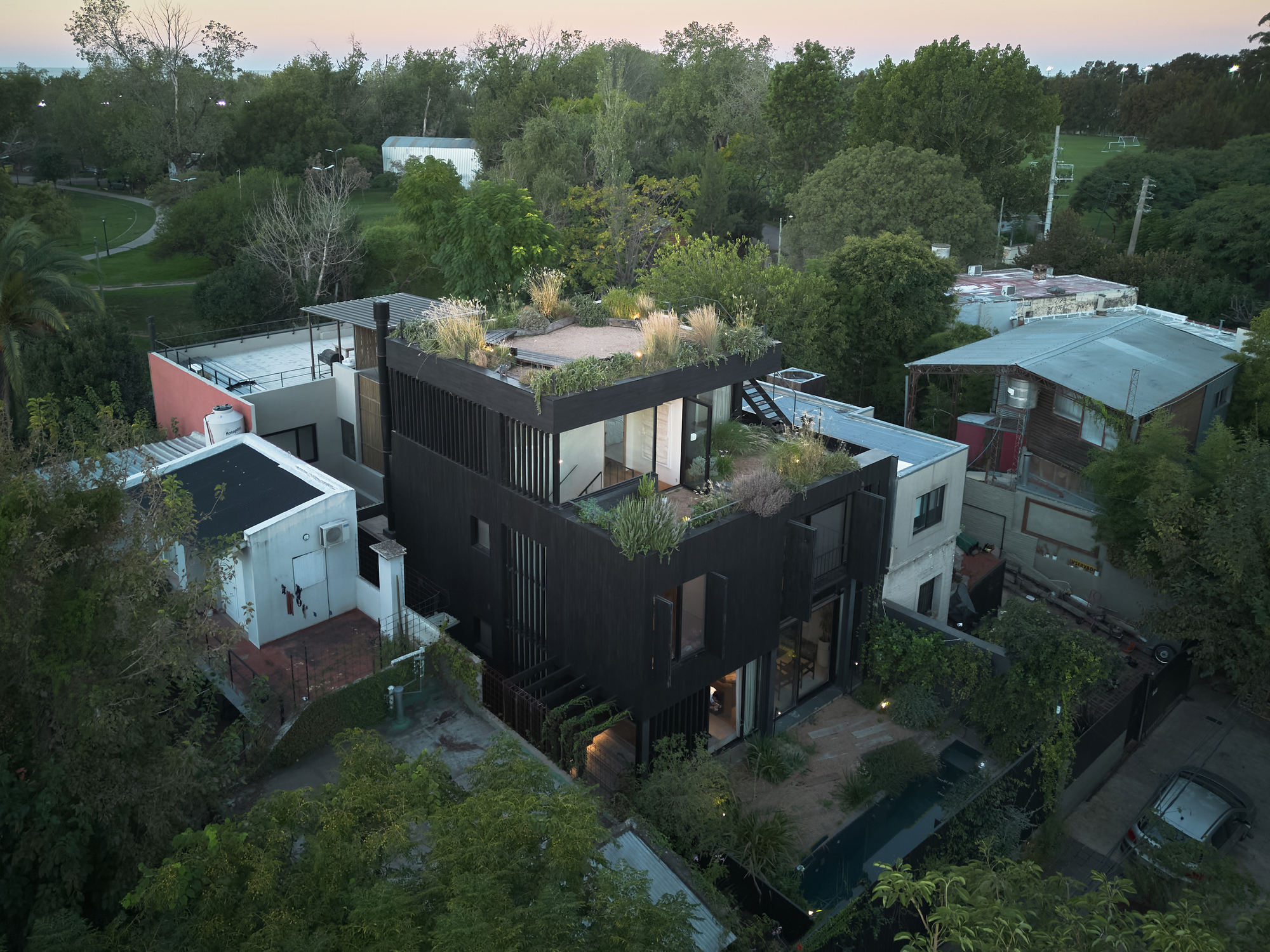 Aerial view of the charred-timber house with planted roof terraces, surrounded by tree canopy at dusk