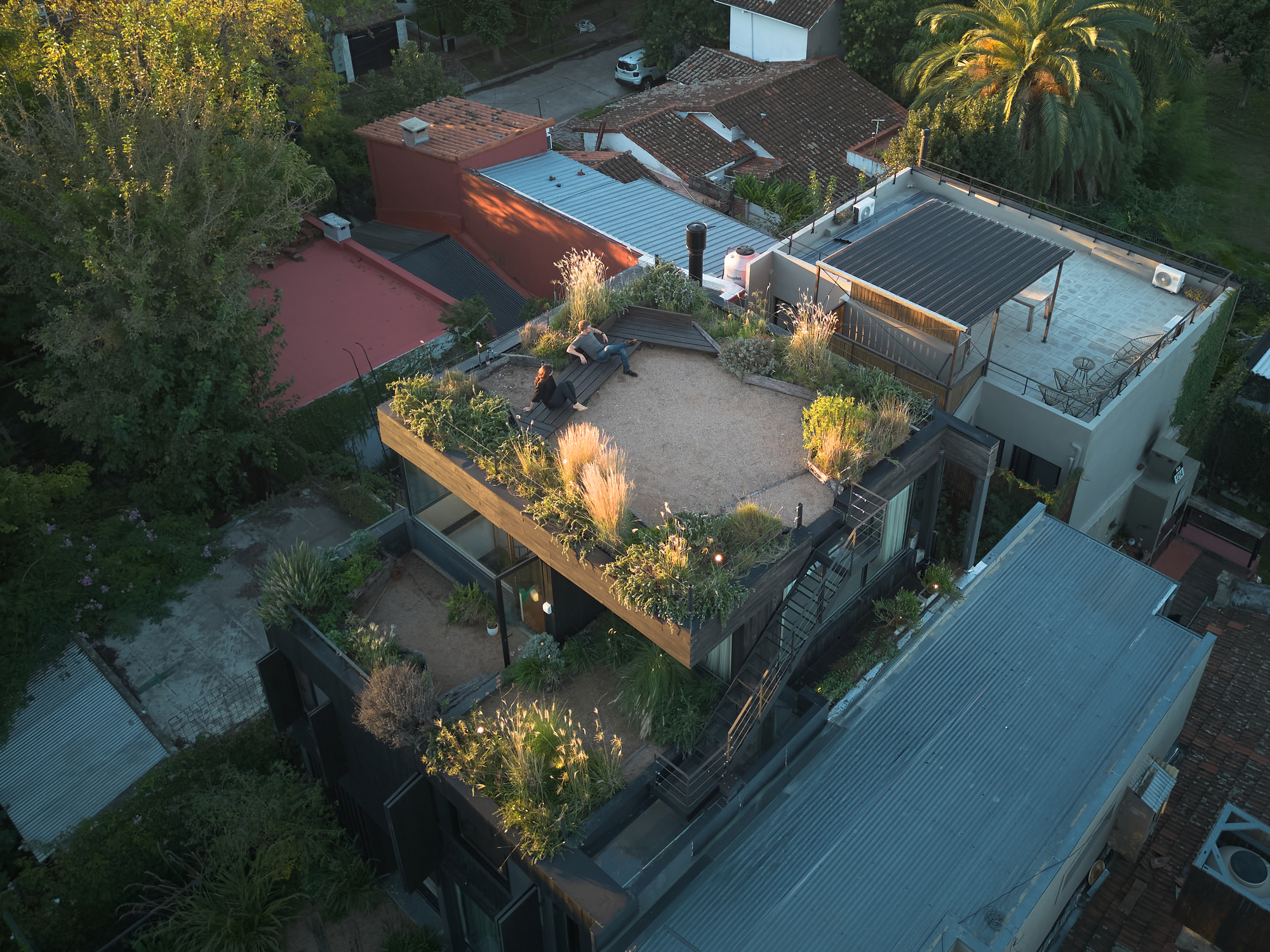 Drone view of a planted roof terrace with gravel floor, grasses and two people seated, lit by low evening sun