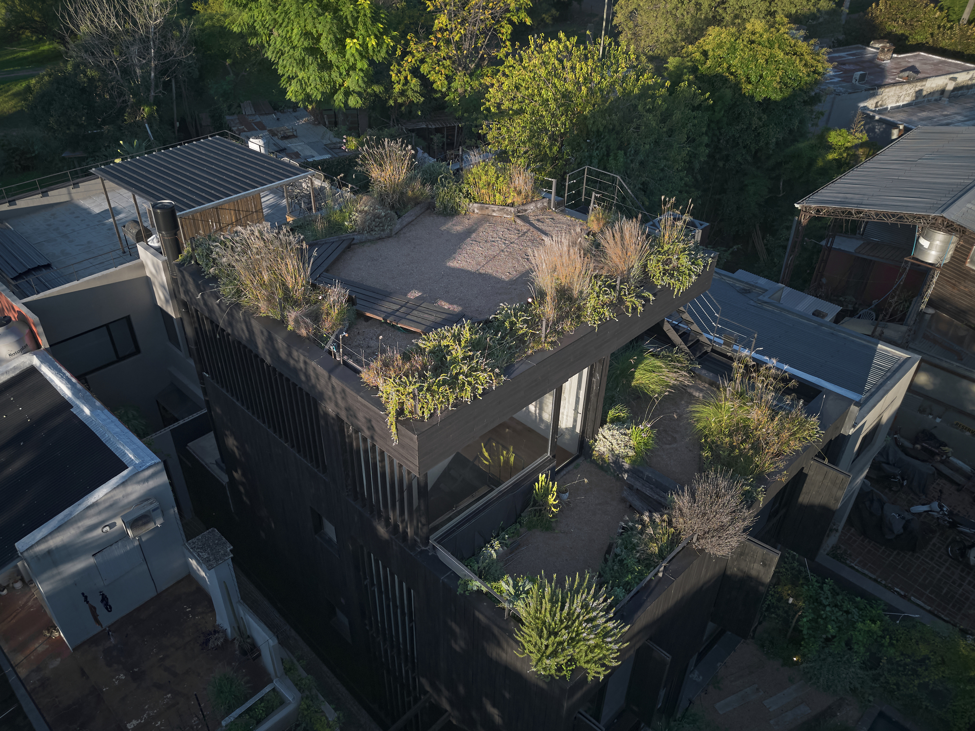 Aerial view of the dark timber-clad facade topped by a gravel roof garden of grasses in late afternoon light