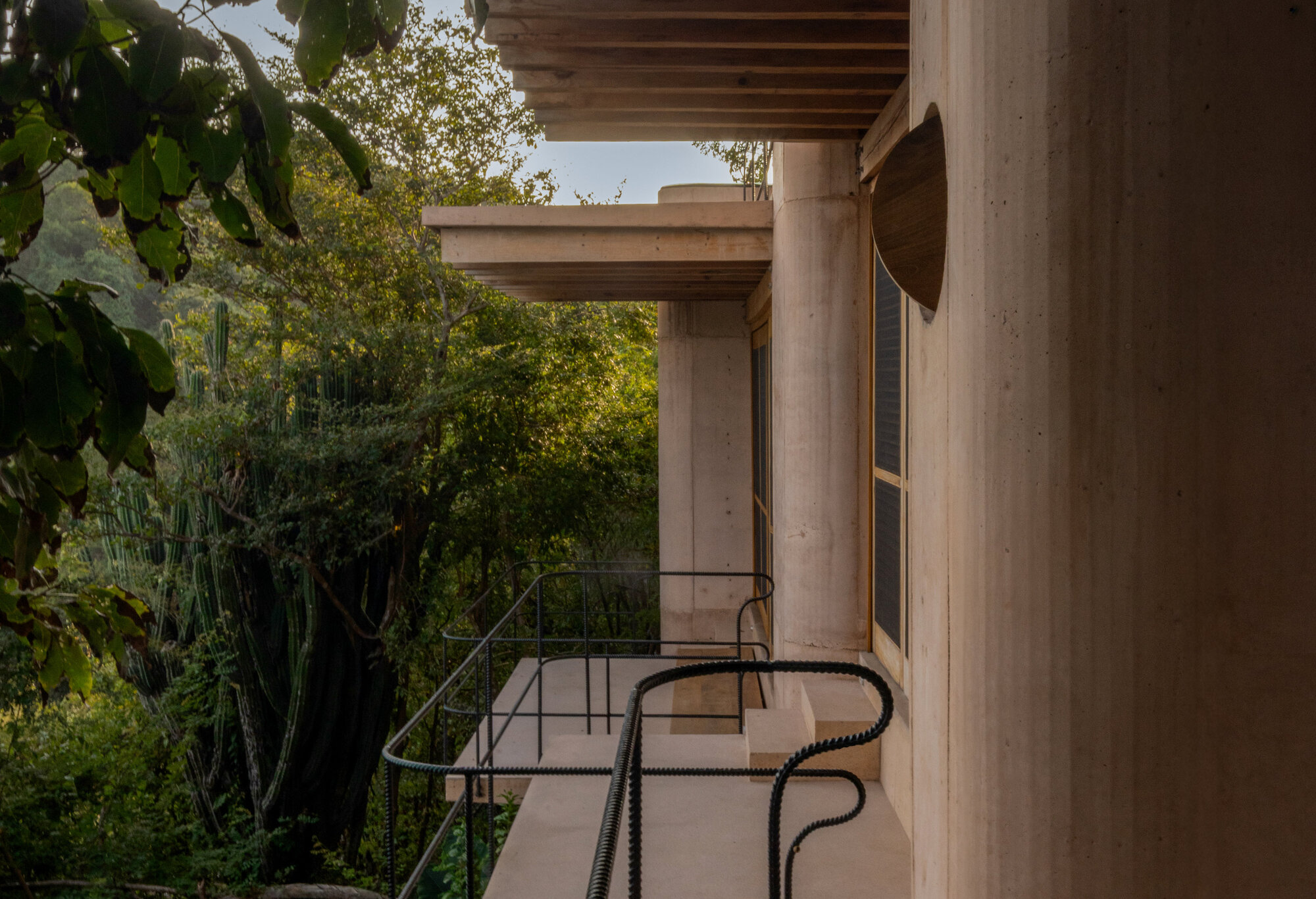 Side view of a concrete balcony with black rebar railing and round columns, framed by cactus and leaves in low light
