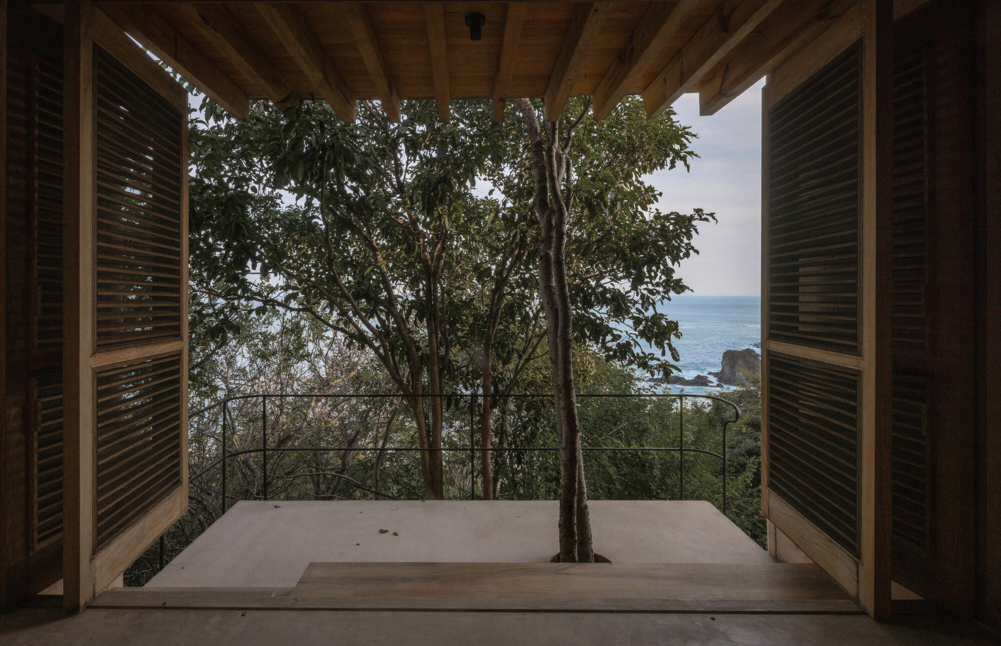 Open louvered timber shutters frame a tree growing through the concrete terrace, with rocky coastline and sea beyond under a pale sky