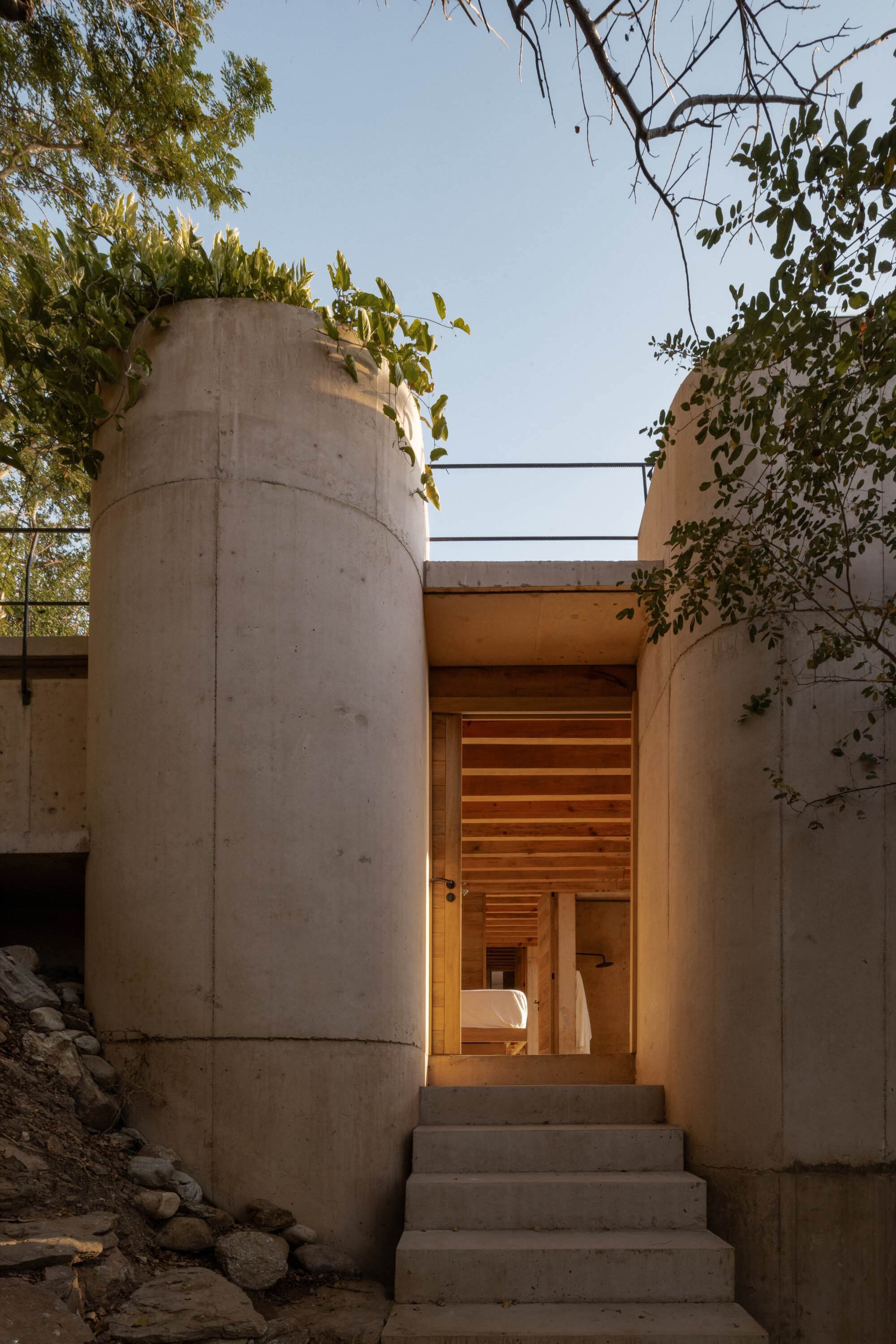 Concrete steps rising between two rounded concrete walls to a timber-lined entrance, with leafy branches overhead under a clear blue sky