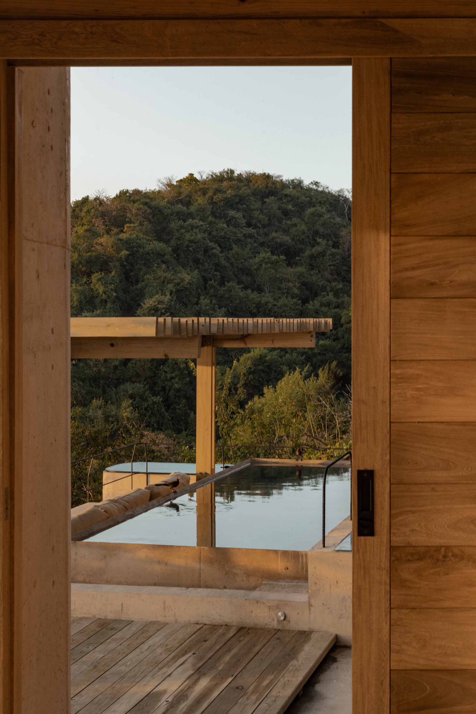 Wood-framed doorway opening onto a plunge pool and timber pergola, with a forested hillside beyond in late light