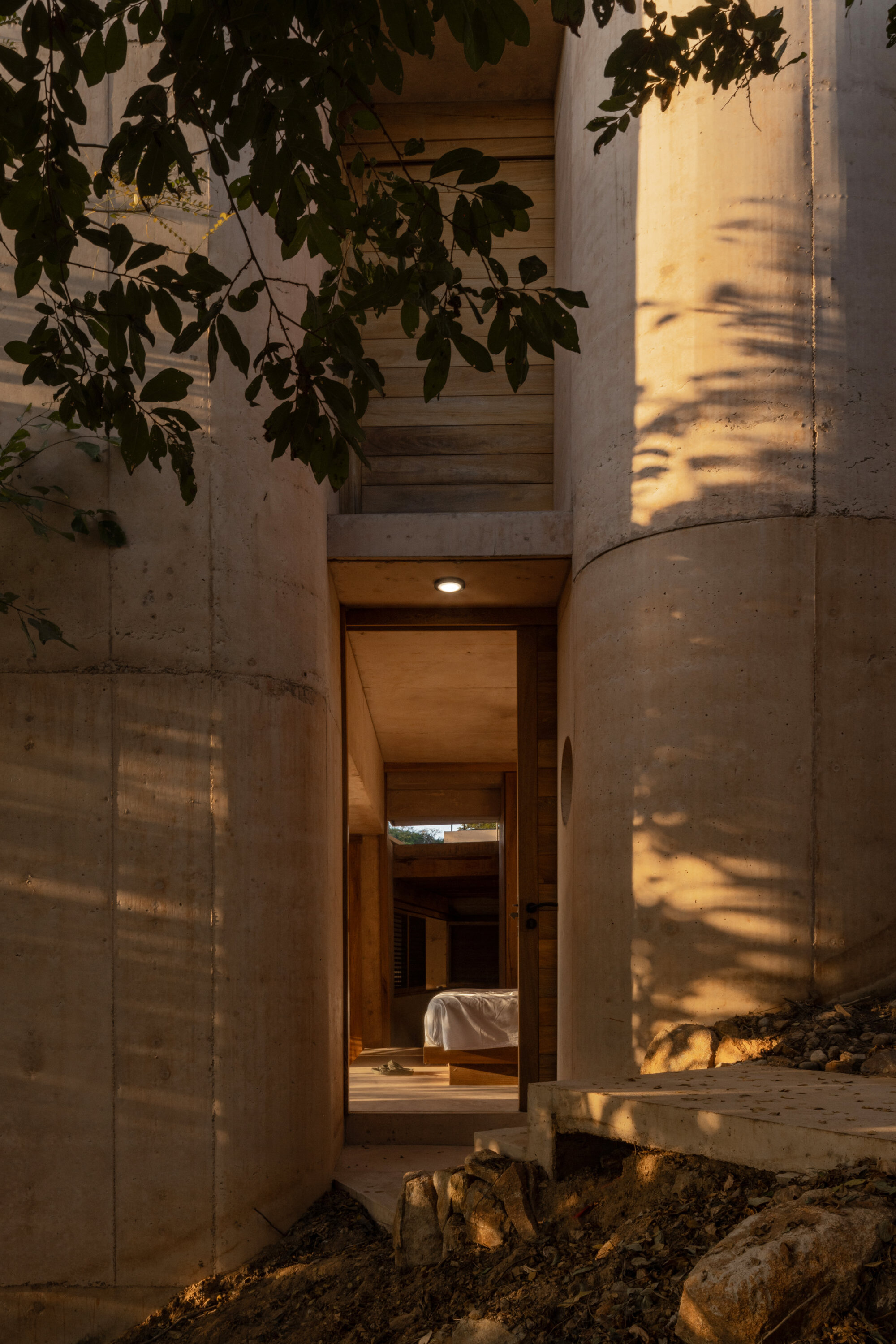 Entrance gap between two curved concrete walls leading to a bedroom, with leaf shadows falling across the surface at dusk