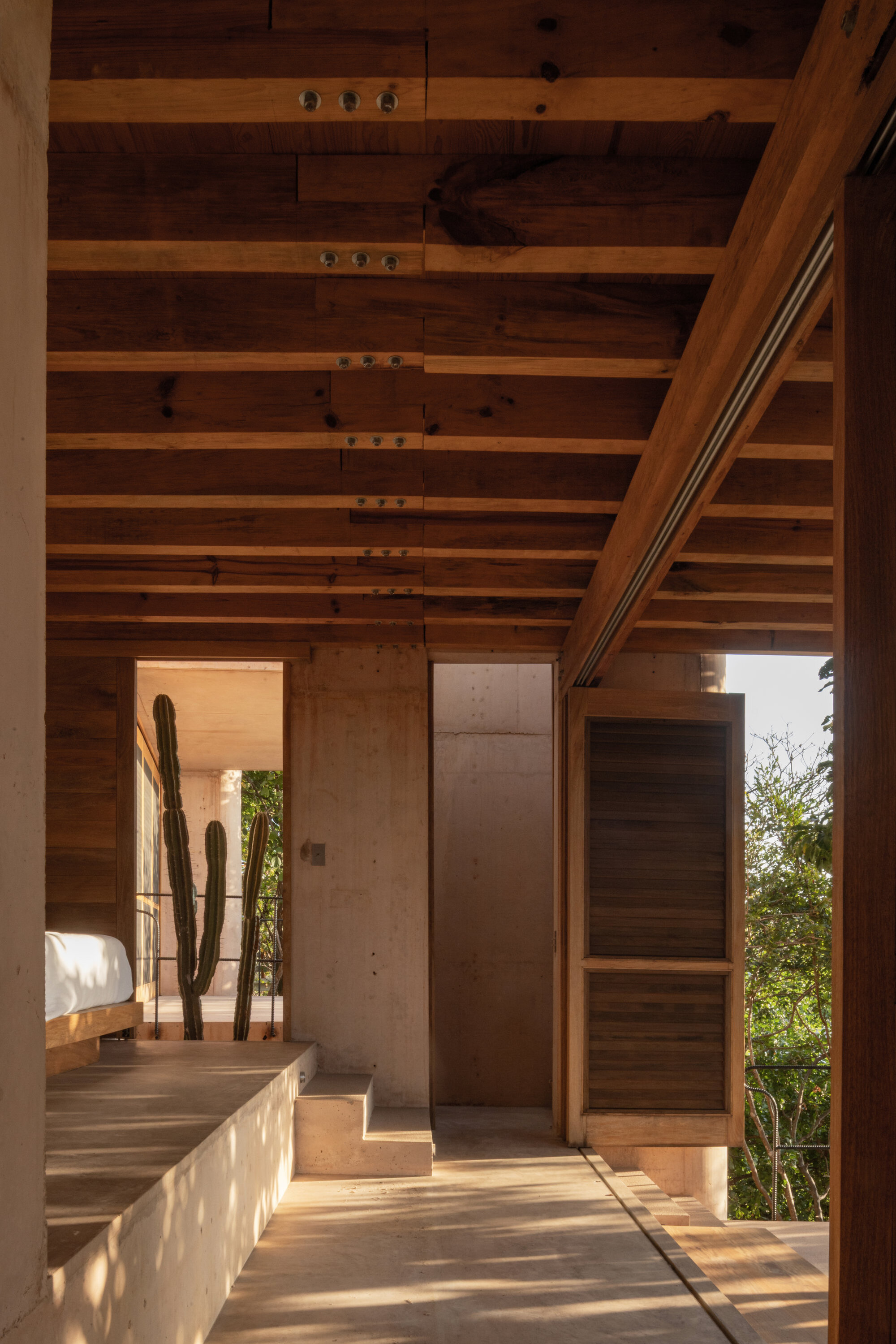 Exposed timber beam ceiling over a concrete-walled room, with a louvered shutter and a tall cactus outside in afternoon sun