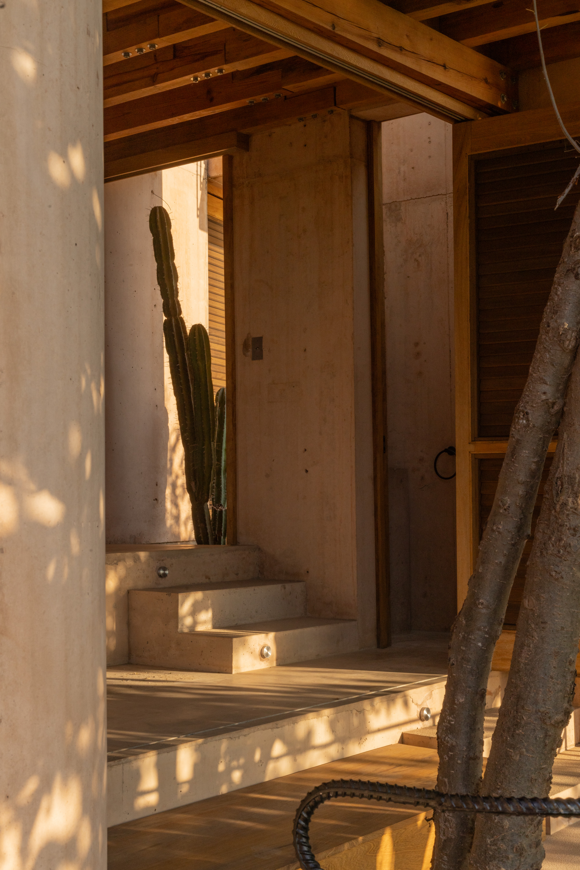 Covered terrace with concrete steps, timber beams and a tall cactus, dappled by tree shadows in late sun