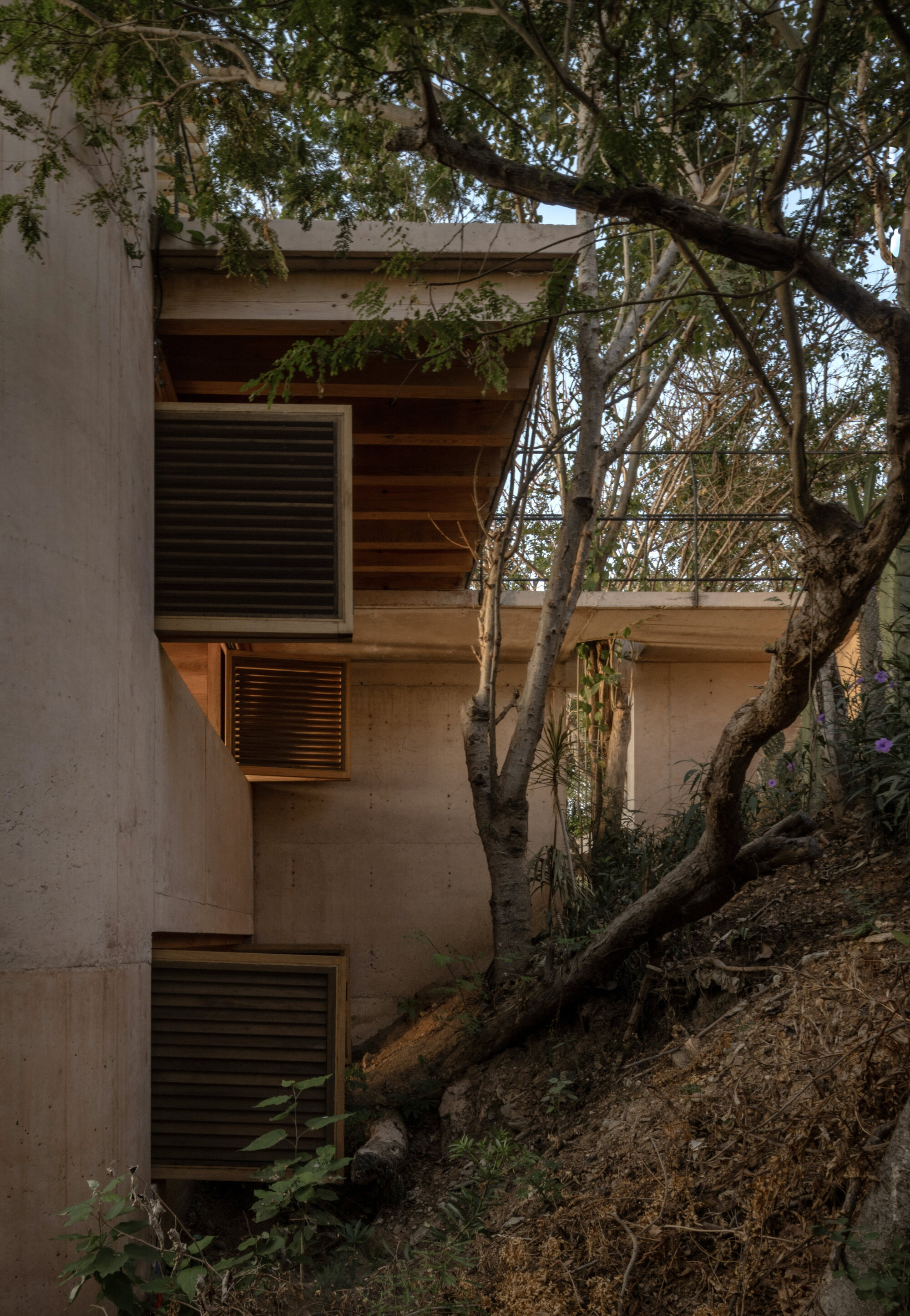 Side view of concrete walls with louvered timber shutters, seen through tree branches on a steep dry slope