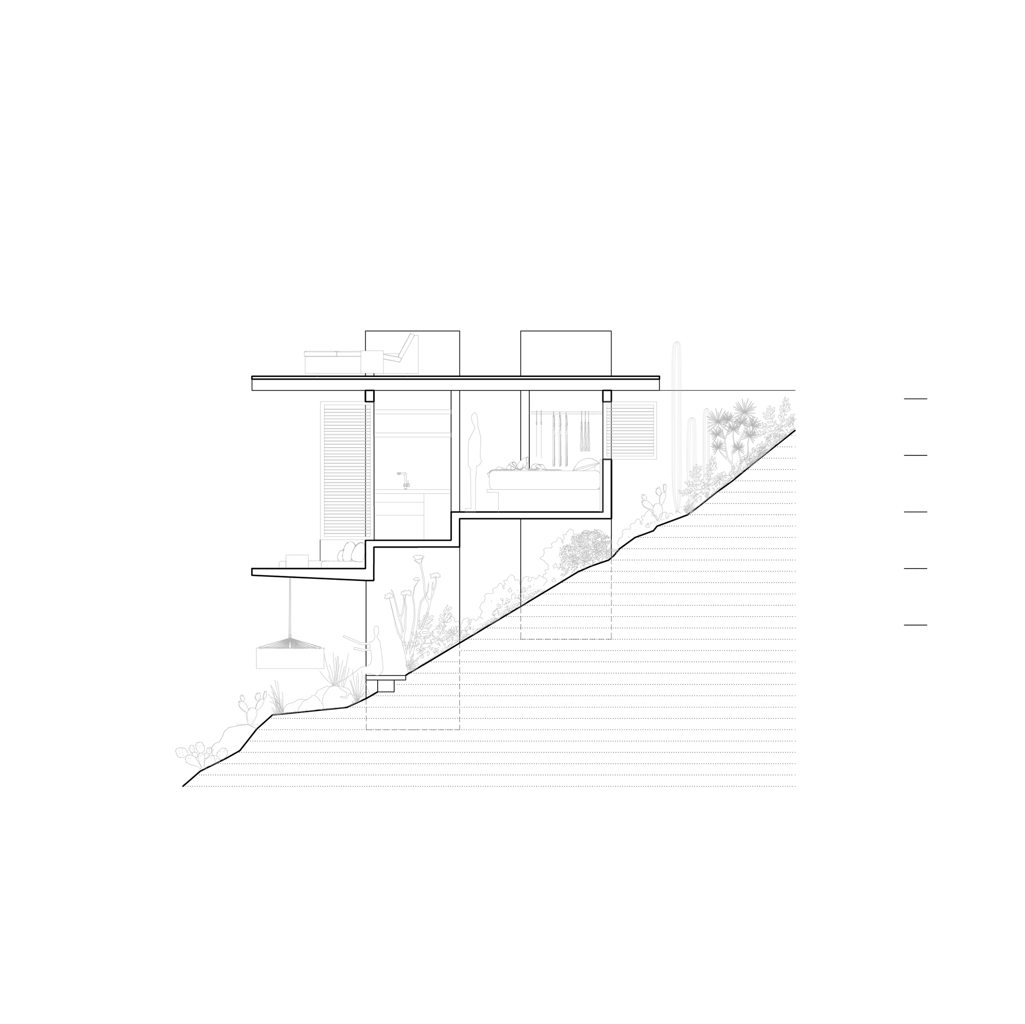 Section drawing of a stepped floor and flat roof slab cut into a steep slope, with cacti and shrubs on the hillside