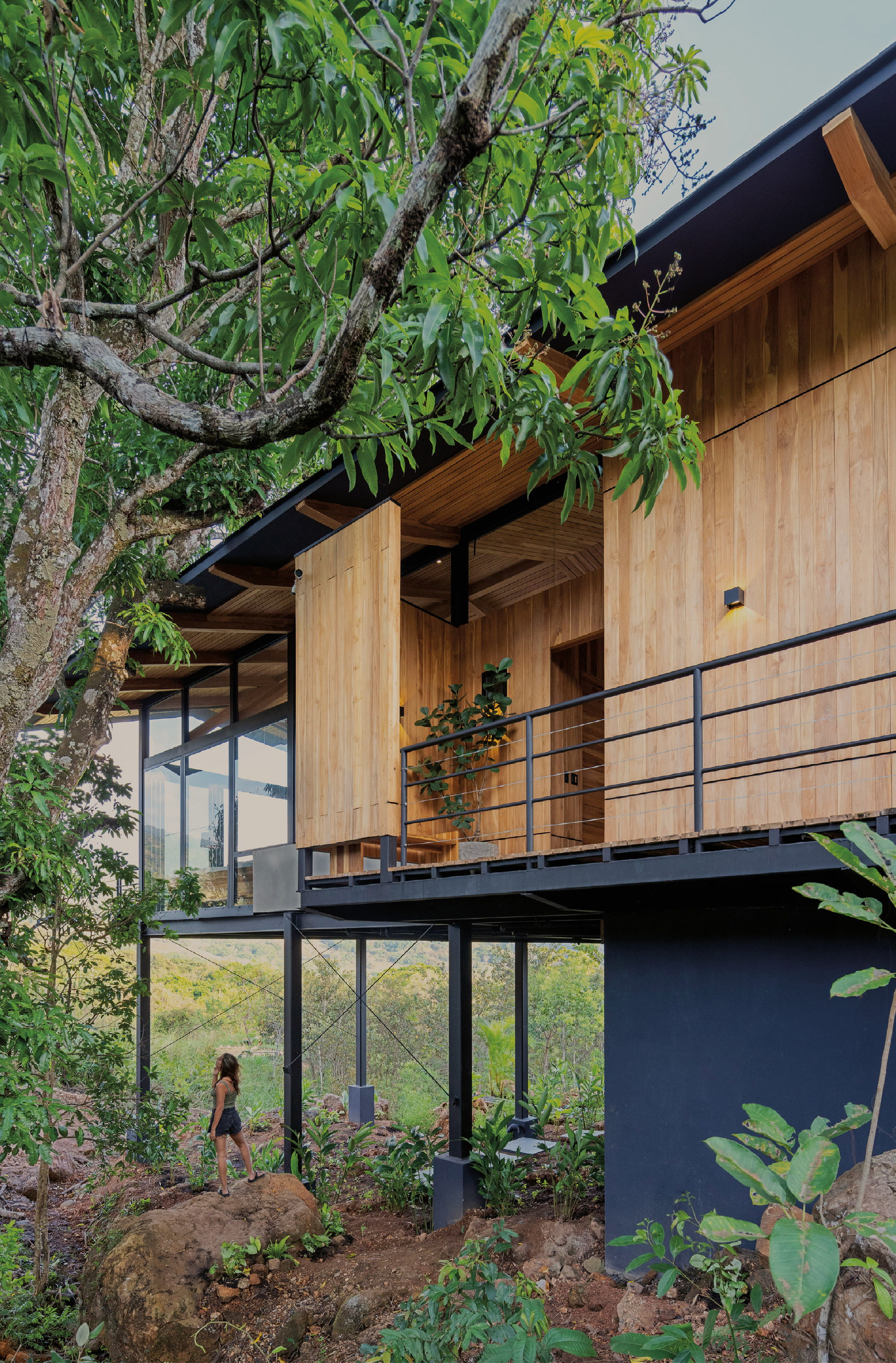 Timber-clad volume raised on steel columns above a dark plinth wall, with a woman standing on a boulder beneath a mango tree