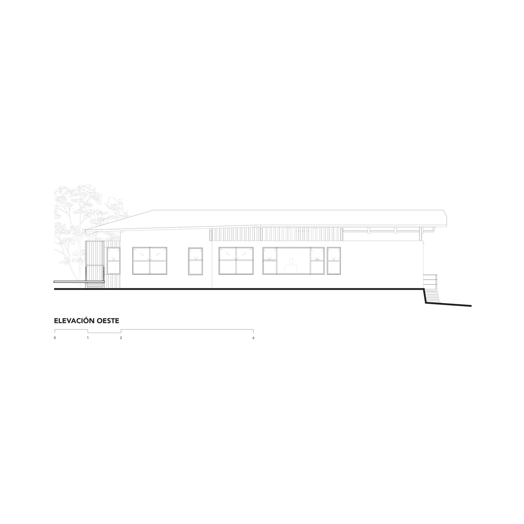 West elevation drawing of the ground-hugging facade with a row of framed windows beneath a low-pitched roof, and a tree at left