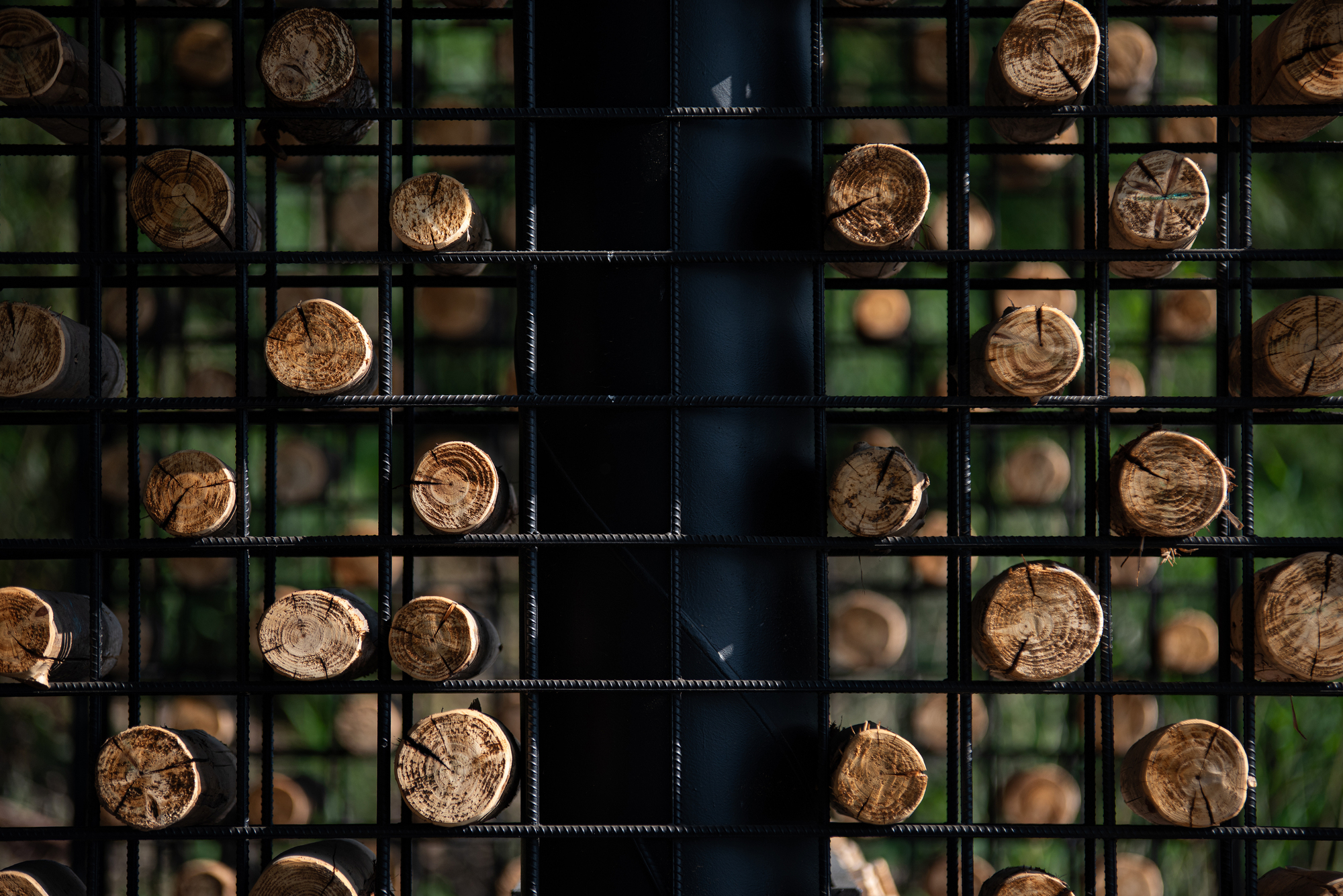 Close-up of cut log ends held in a rebar grid around a black steel column, lit by low sun
