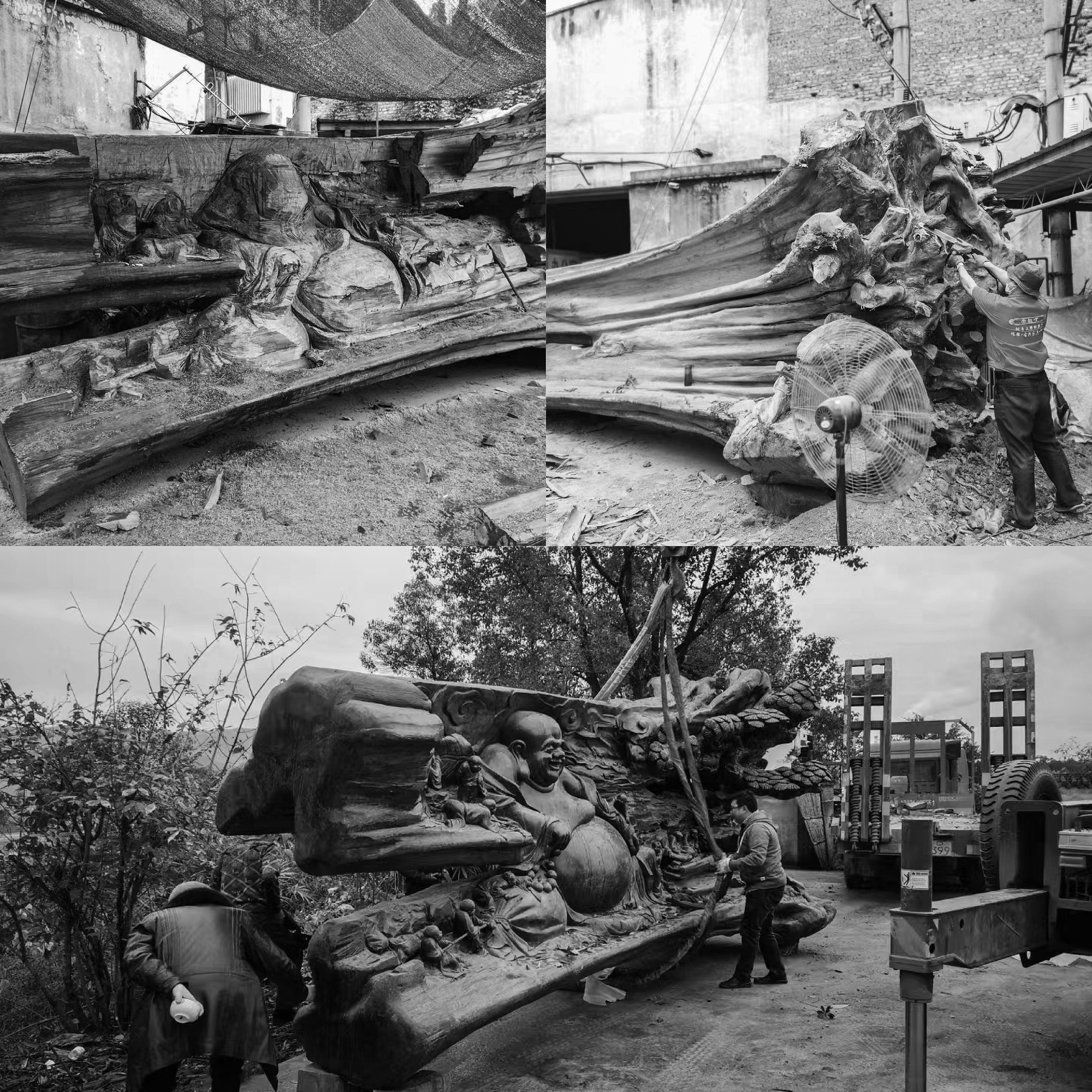 Black and white photo collage of a large carved root sculpture being worked on, then lifted by crane and truck