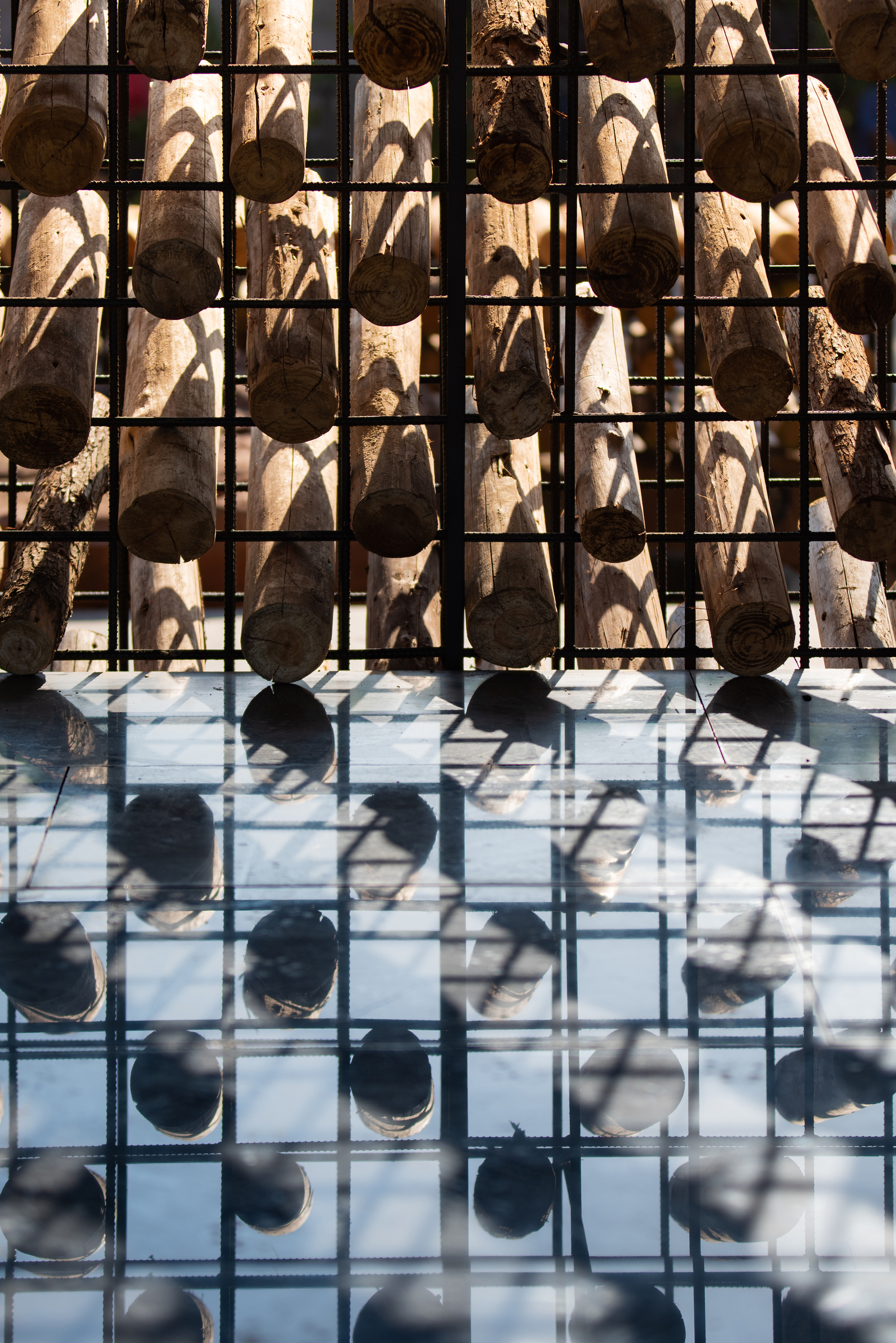 Close view of log ends stacked in a steel rebar grid, their shadows falling on a glass floor below