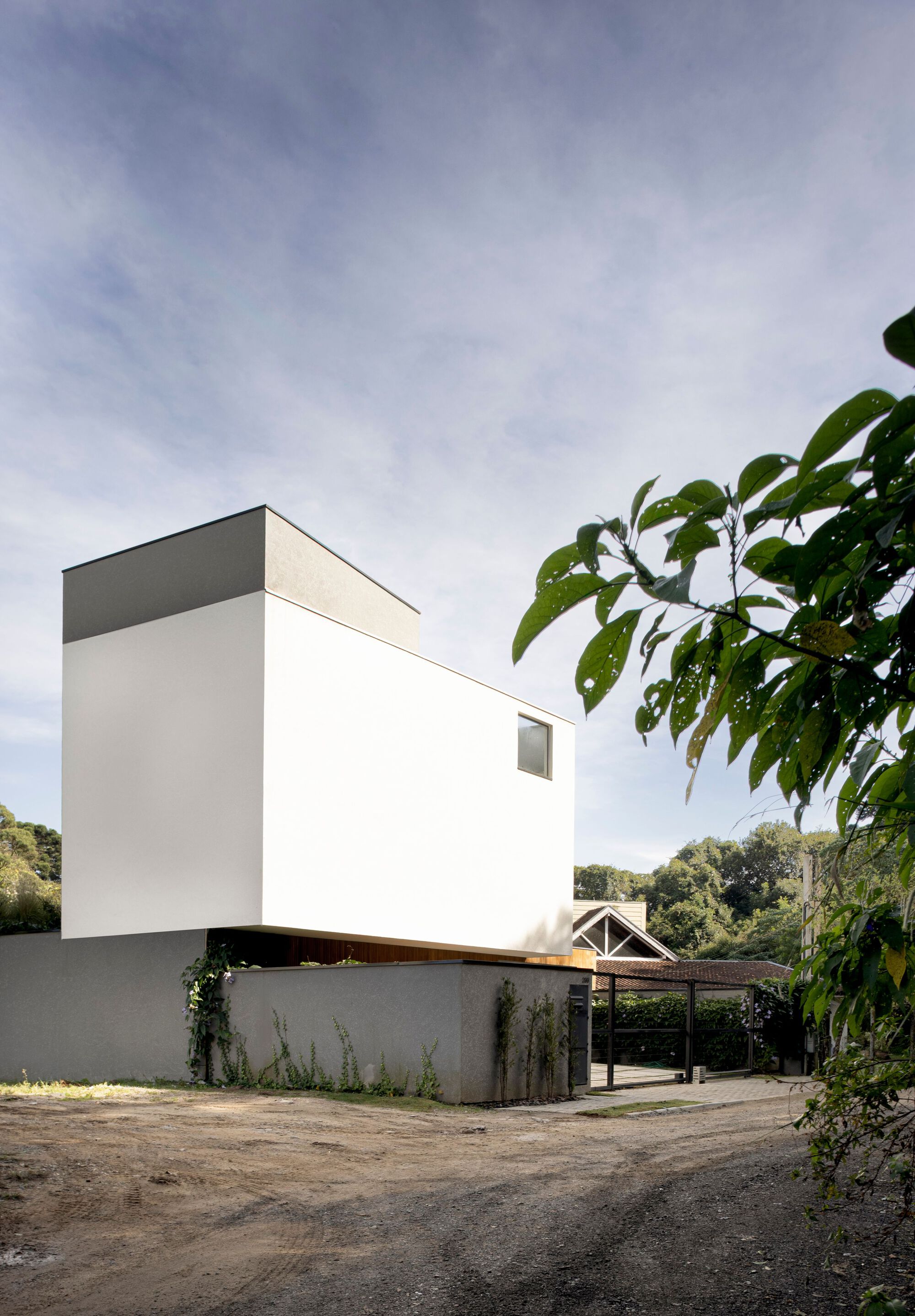 Side view of the white cantilevered box rising above a grey boundary wall with climbing plants, framed by leaves and cloudy sky