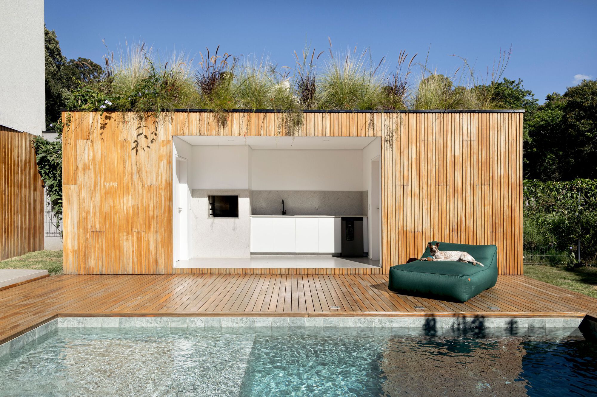 Timber-clad pool pavilion with open white kitchen, grasses on the roof and a dog resting on a green lounger in bright sun