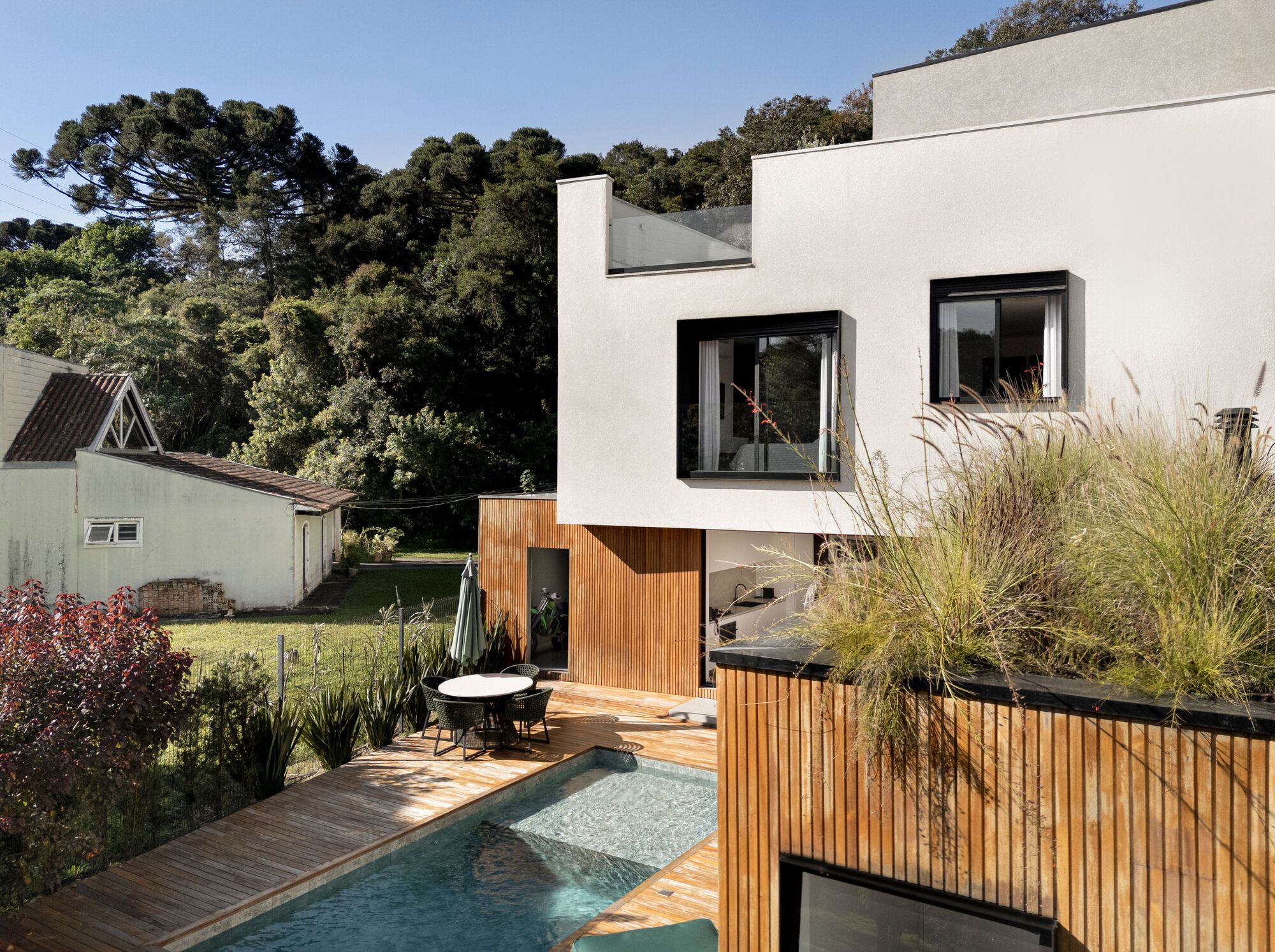 White stucco volume with black-framed windows above a timber-clad base, a rooftop grass planter and a lap pool, beneath araucaria trees in clear sun