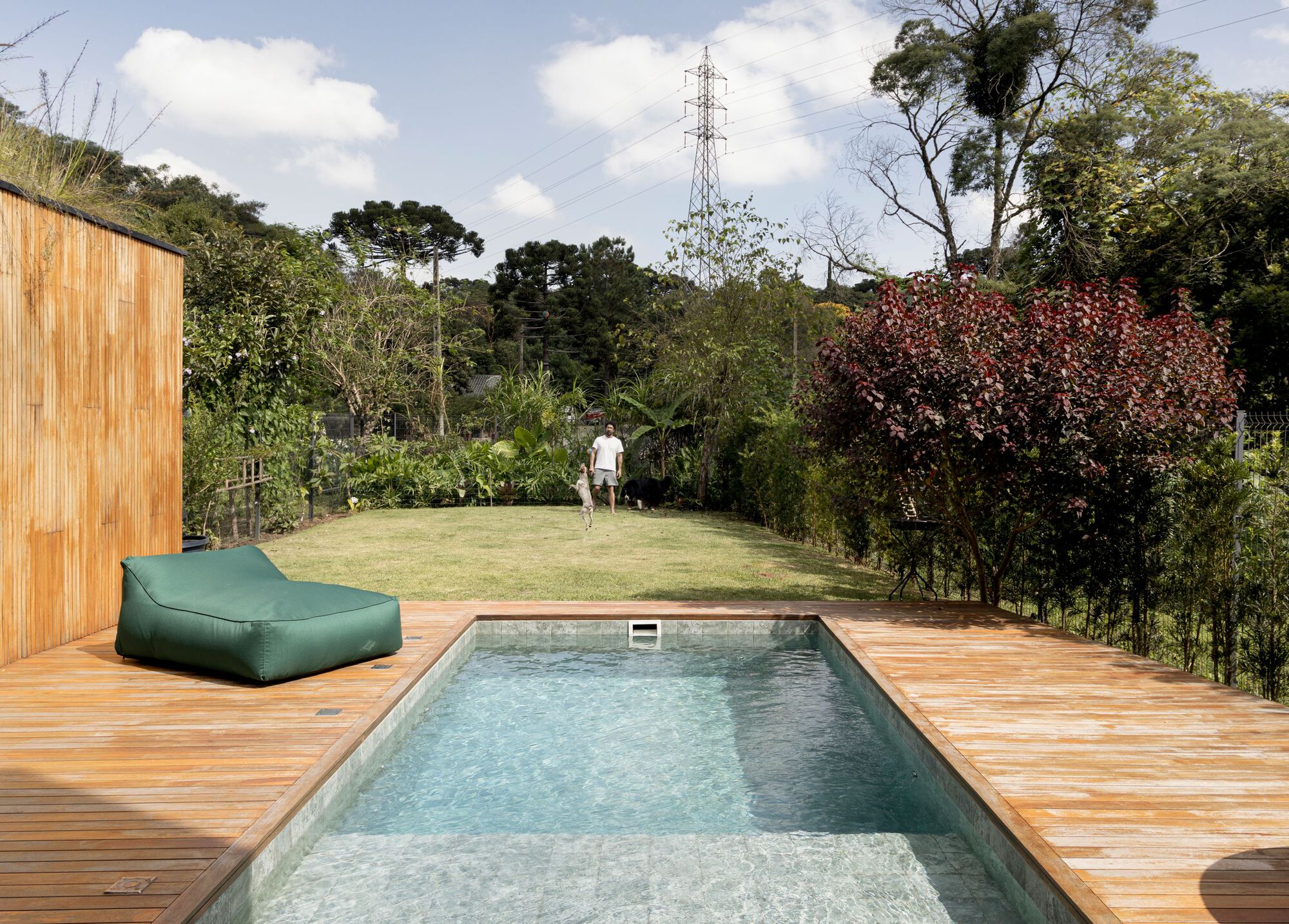 Pool and timber deck facing a lawn where a man and a dog stand beneath a pylon and a red-leafed tree