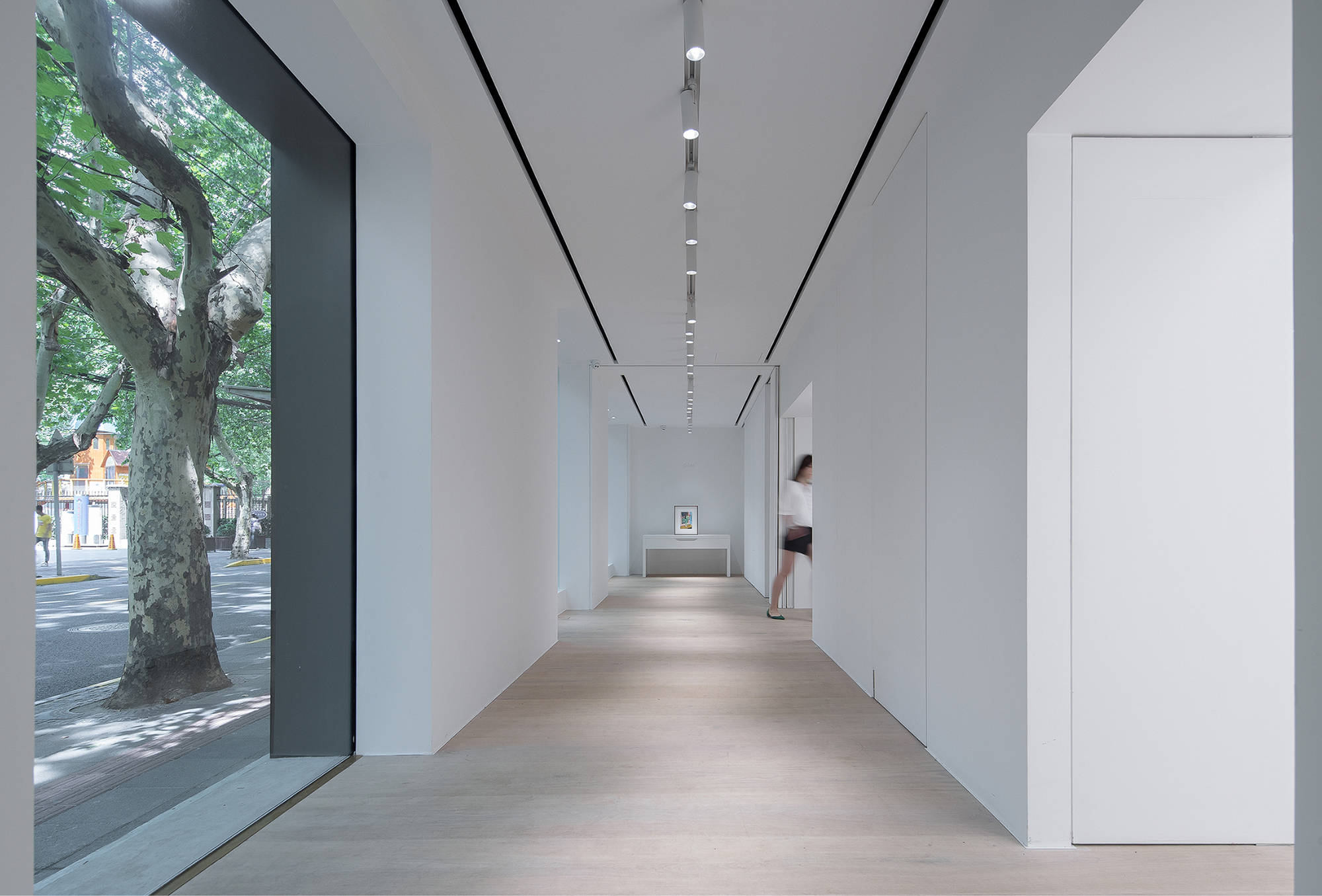 Long white gallery corridor with track lights, pale timber floor and a large window onto a sunlit plane tree