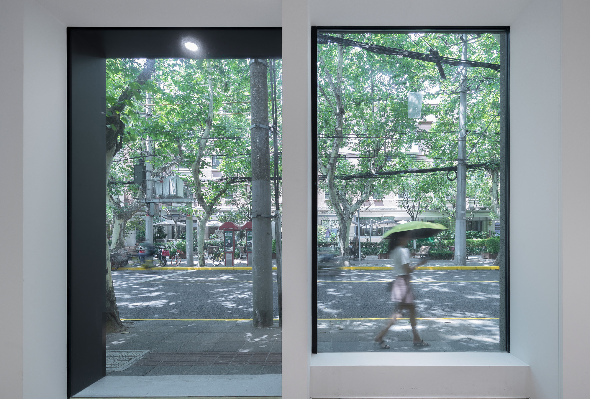 Two deep-set framed windows looking onto a tree-lined street, a woman with a green umbrella blurred mid-stride