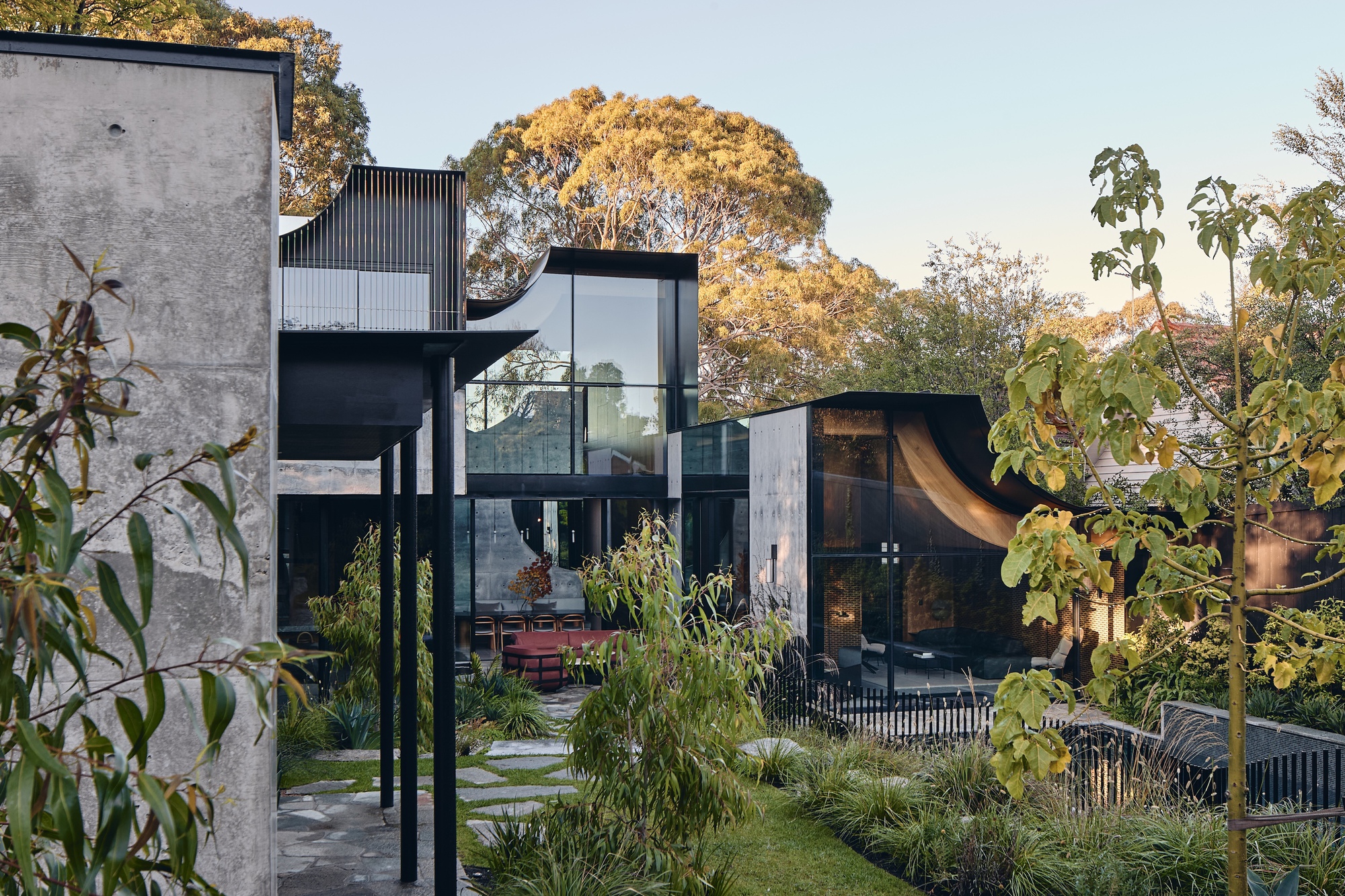 Concrete wall and slim steel columns frame glazed curved pavilions behind a eucalyptus in warm late afternoon light