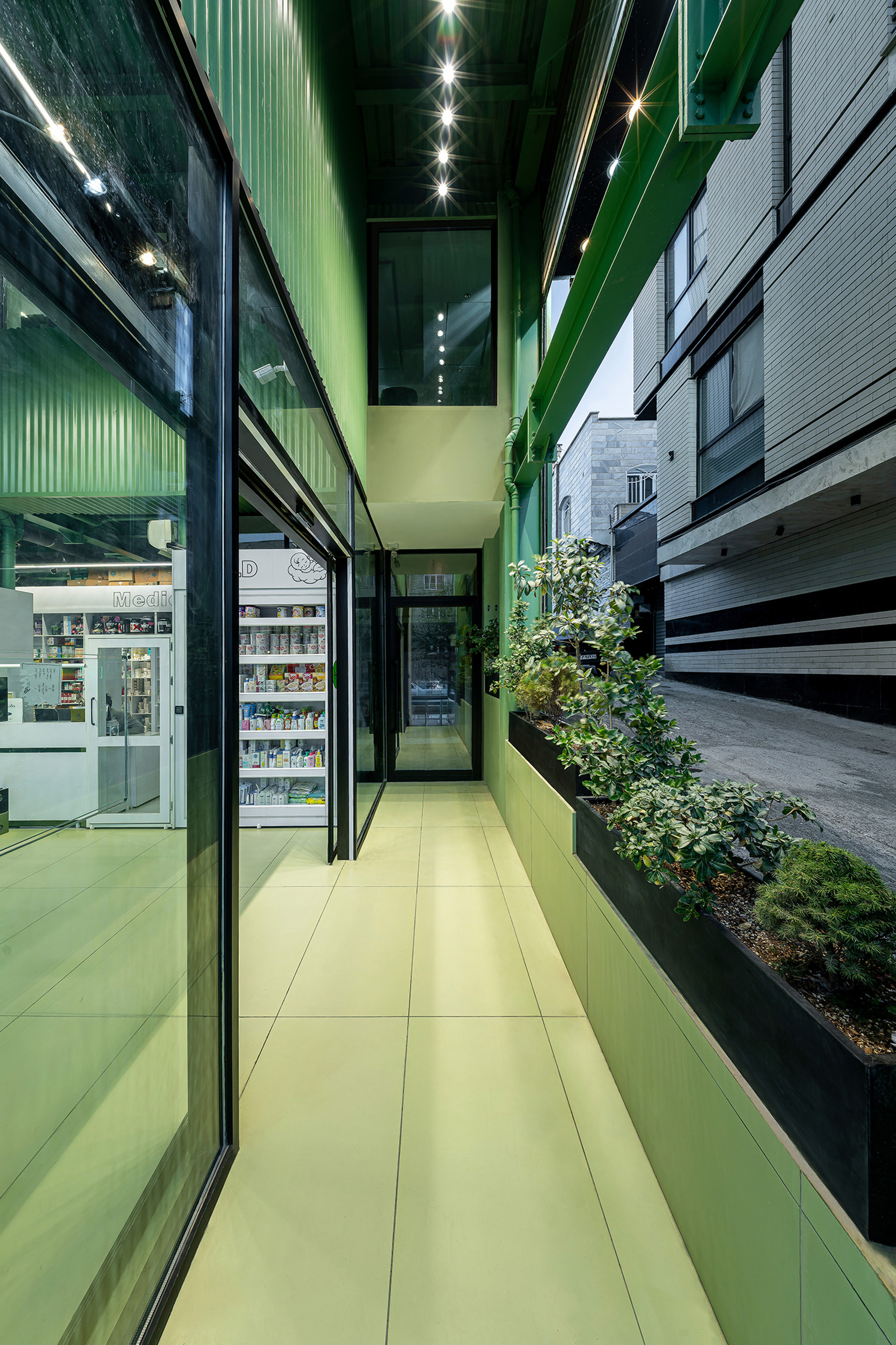 Narrow ground-floor passage along a glazed pharmacy front with green walls, a black planter of shrubs and a neighboring building beside it