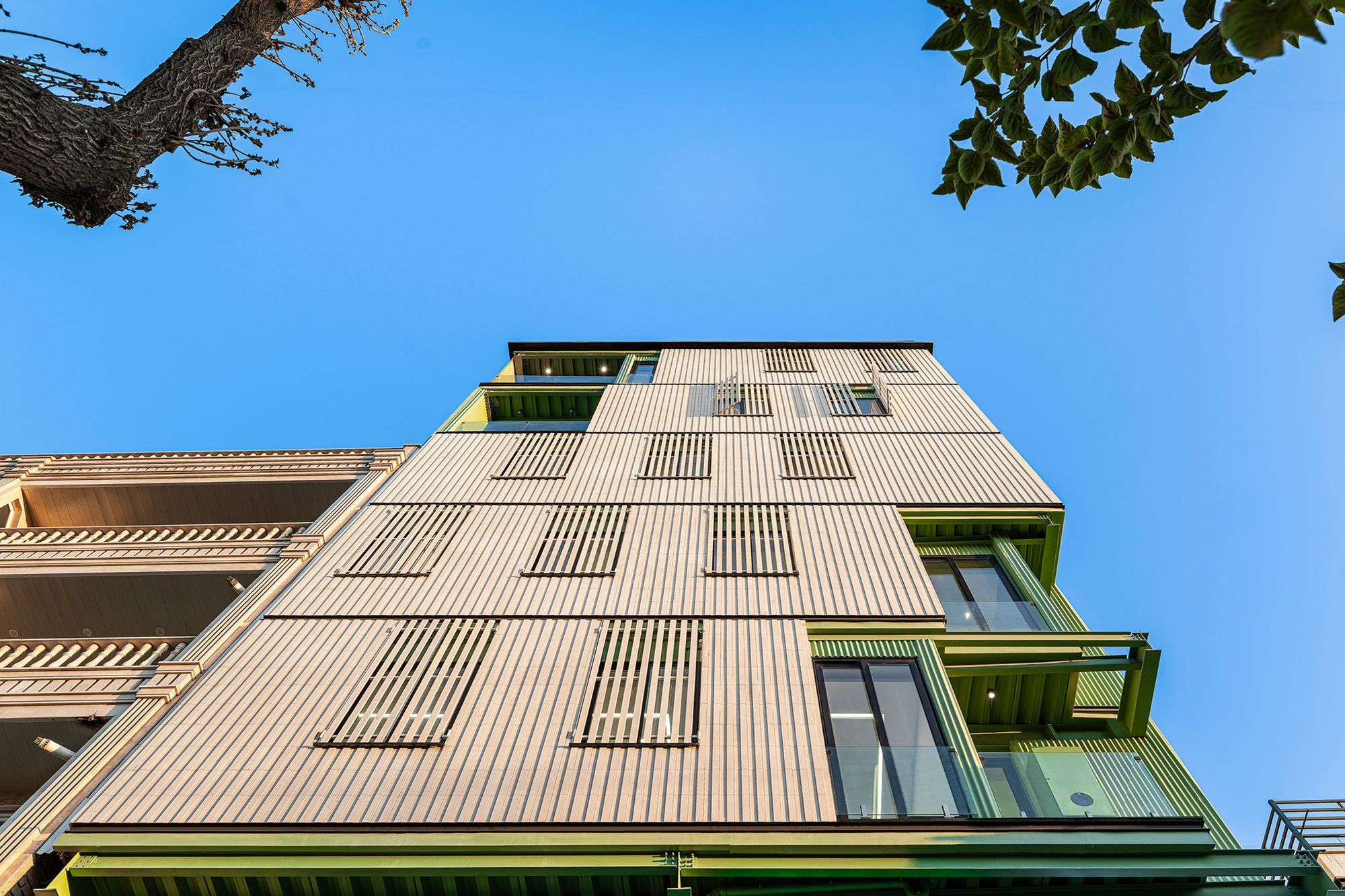 Low upward view of the ribbed cladding, louvered window panels and green balcony frames, framed by tree branches against blue sky