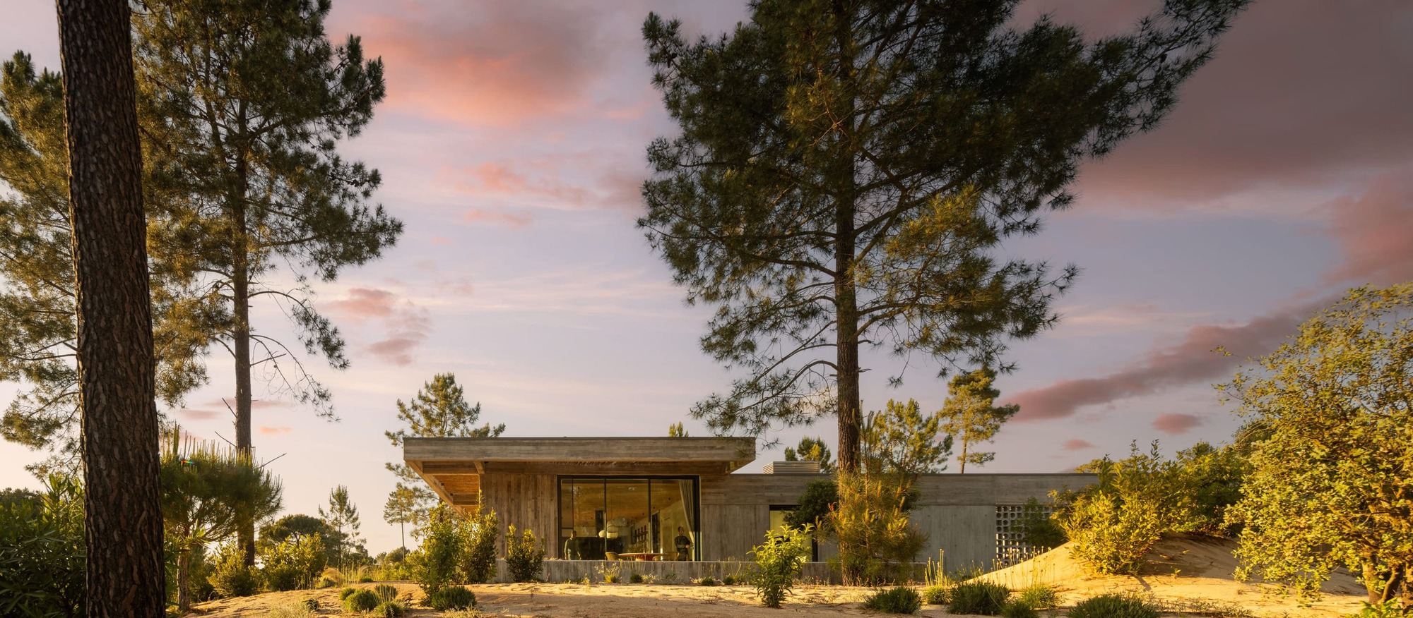 Low concrete house with a glazed living room seen between tall pine trunks under a pink dusk sky