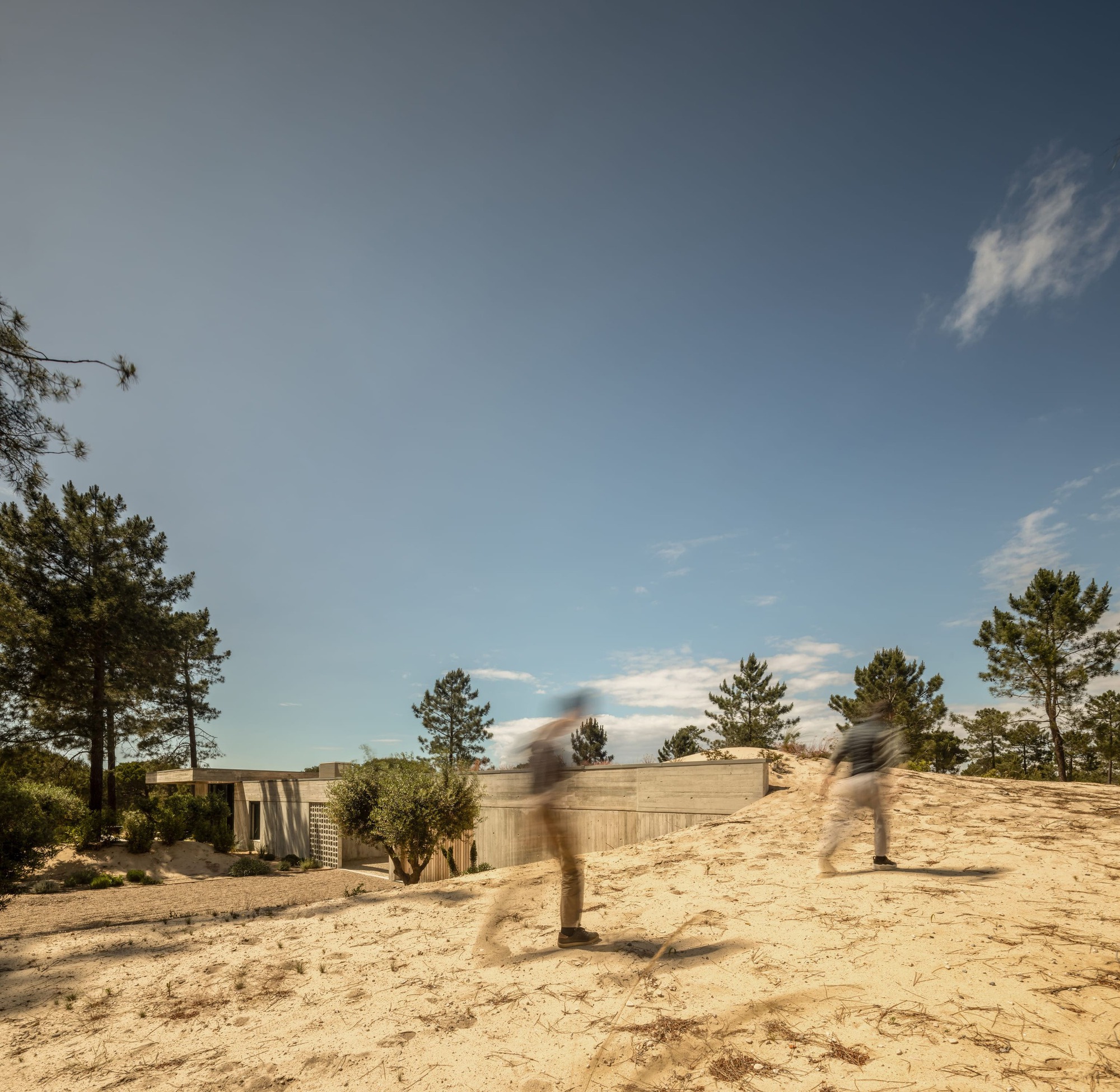 Low board-formed concrete house half buried in a sand dune, with two blurred walkers crossing the foreground under pines