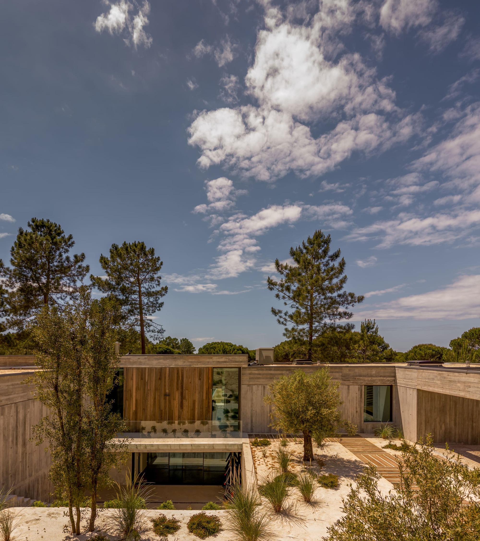 Sunken courtyard framed by concrete walls and a timber-clad volume, with olive trees and grasses under a cloudy sky