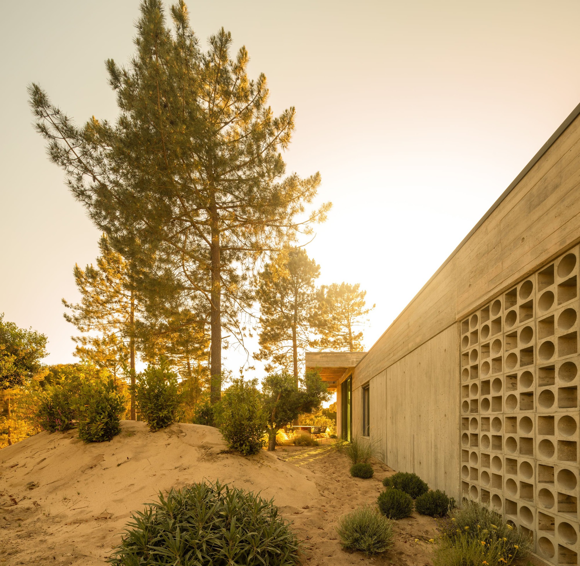 Board-formed concrete wall with a perforated block screen beside a sand dune planted with shrubs, lit by warm evening sun