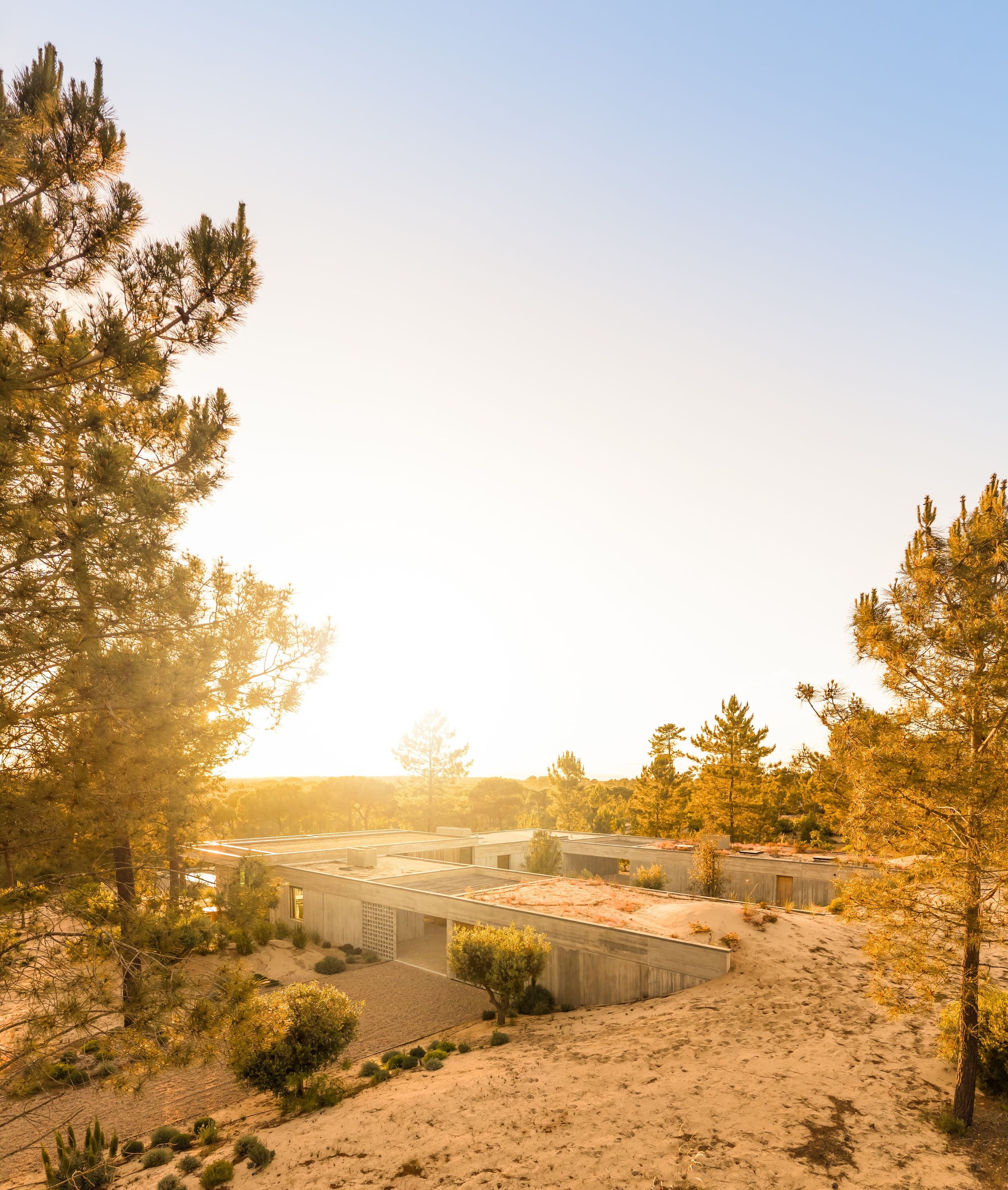 Elevated view of a low flat-roofed concrete house set among pines and sand dunes in hazy golden light