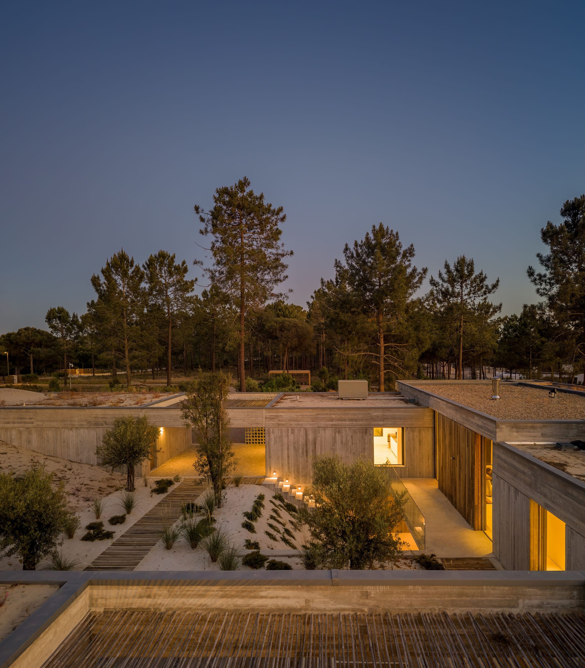 Courtyard at dusk with lit steps, olive trees and sand planting between board-formed concrete walls and a glowing window