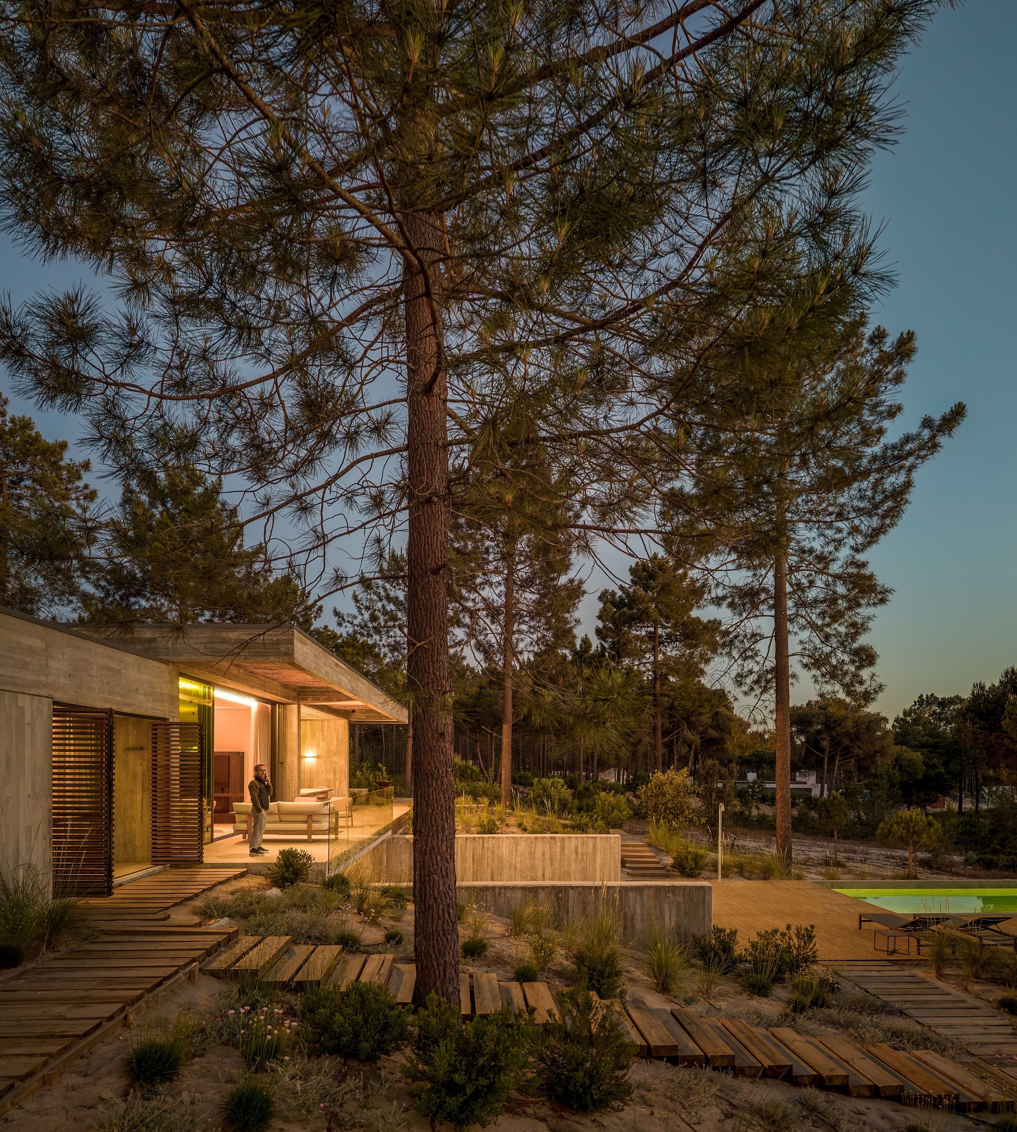 Concrete pavilion with timber shutters and a person standing on the lit terrace beneath tall pines at dusk