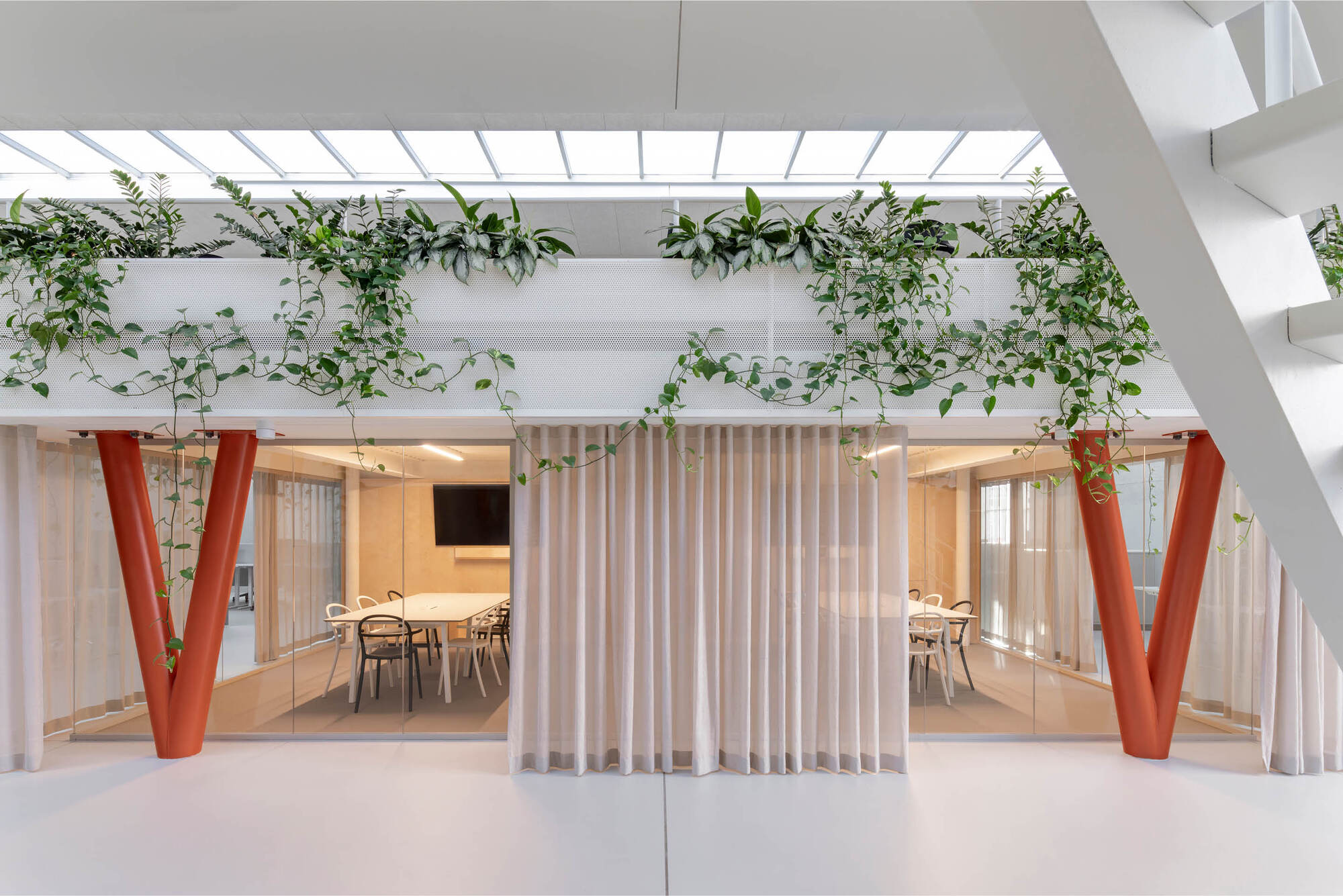 Glass-walled meeting room framed by two orange V-columns and a pleated curtain, with ivy spilling from the planter above