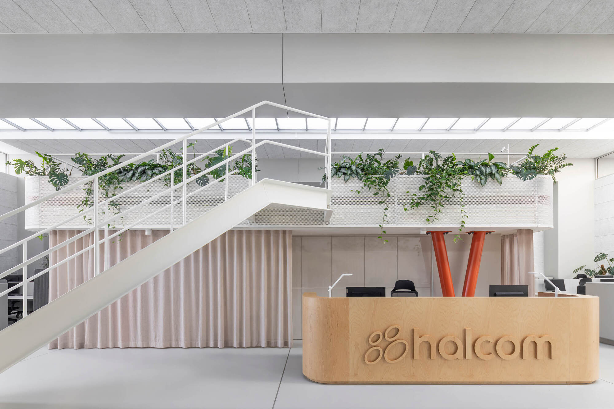 Curved timber reception desk beneath a white steel stair and planter balcony, with trailing leaves and daylight from a rooflight strip