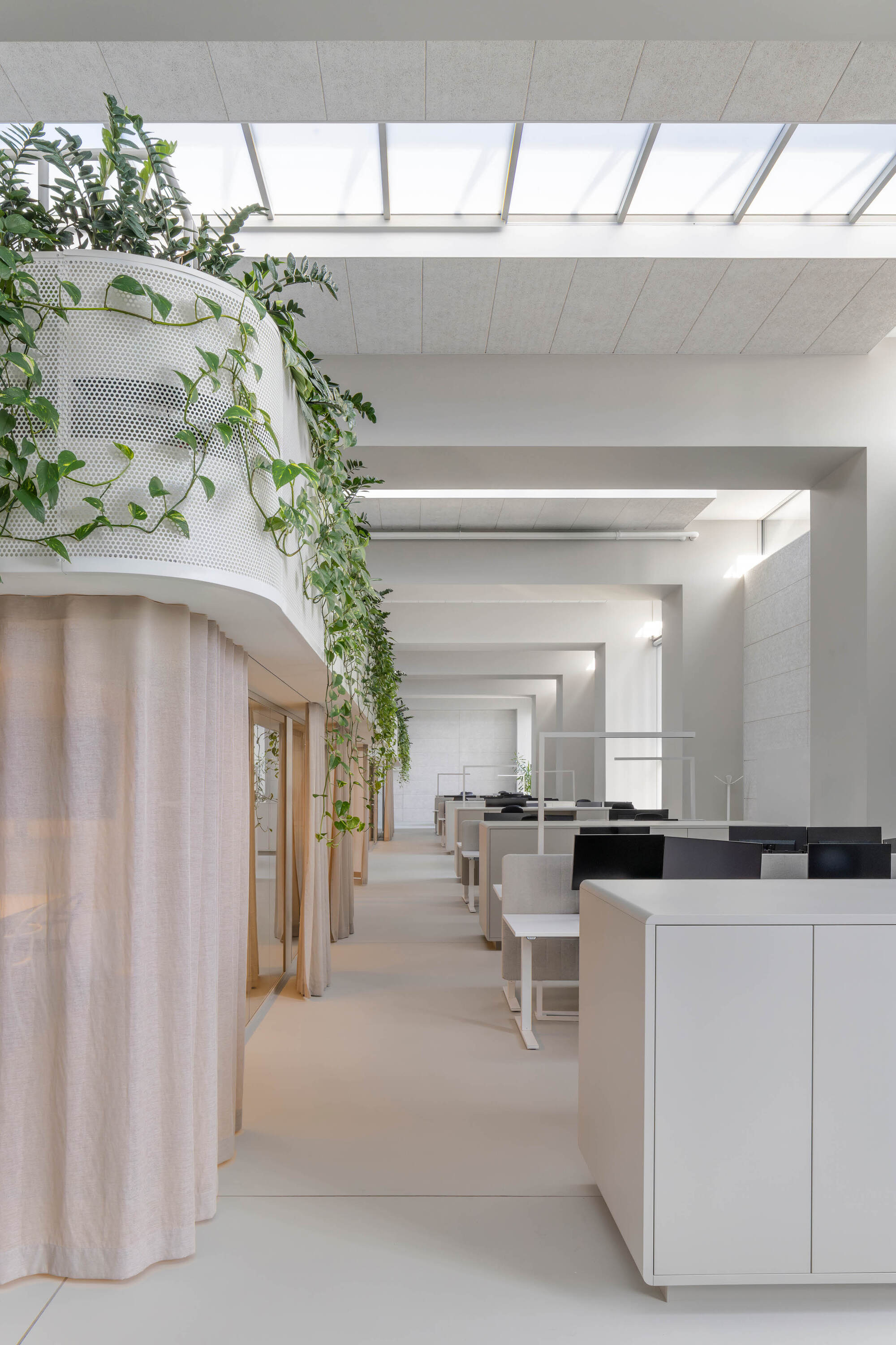Open office aisle with a curtained, plant-topped pod on the left and desks under a long skylight