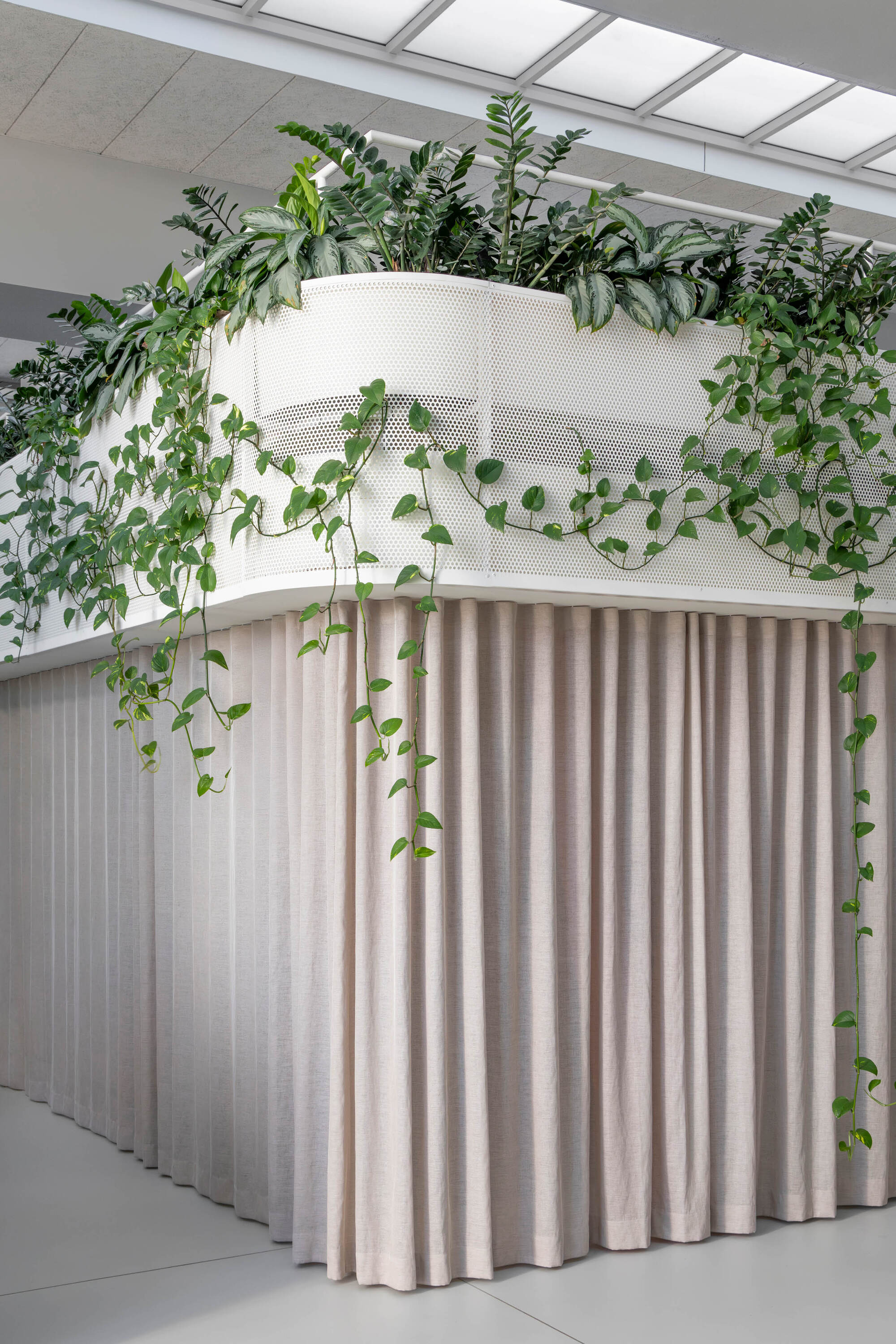 Corner of a pleated linen curtain enclosure topped by a perforated white planter spilling with vines