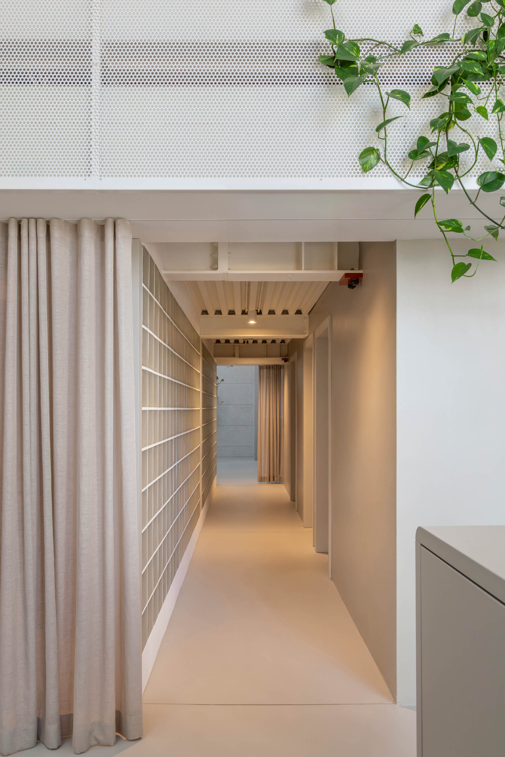 Narrow corridor running between a draped curtain and a glass block wall, with warm light and a hanging vine