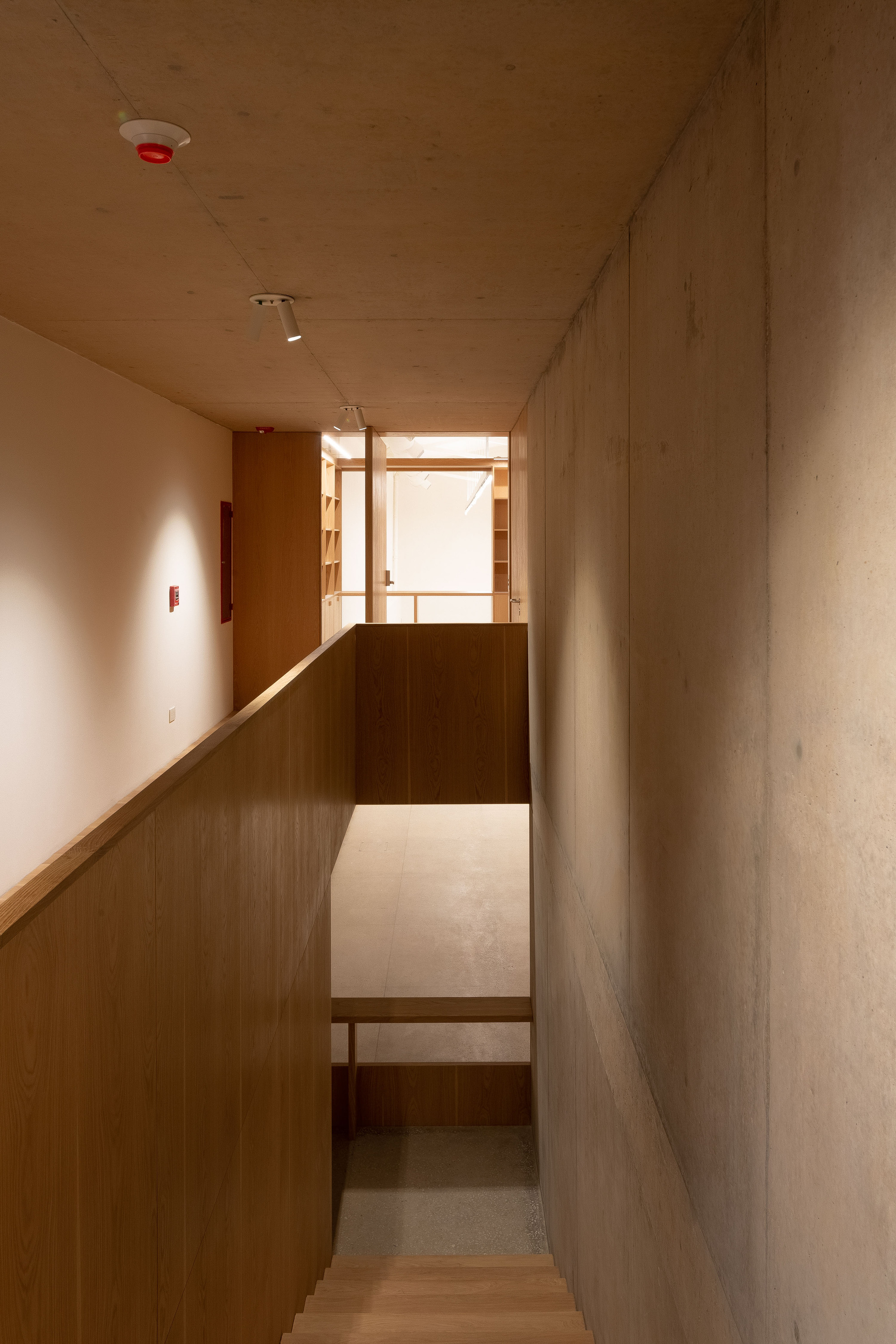 Stairwell between a board-marked concrete wall and an oak balustrade, with a bright library space glimpsed at the top