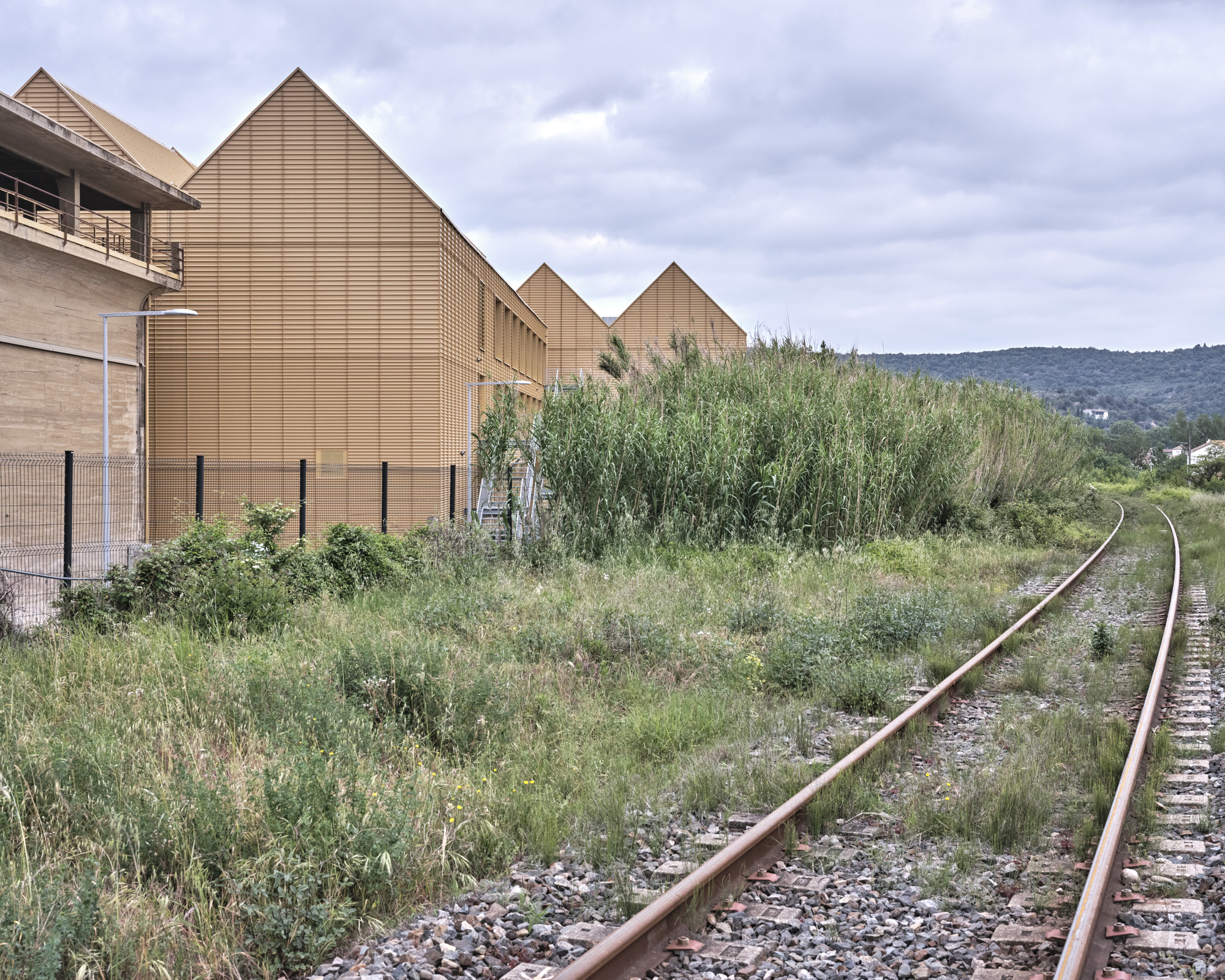 Gabled yellow facades behind tall reeds, with a rusted railway track curving through gravel under an overcast sky