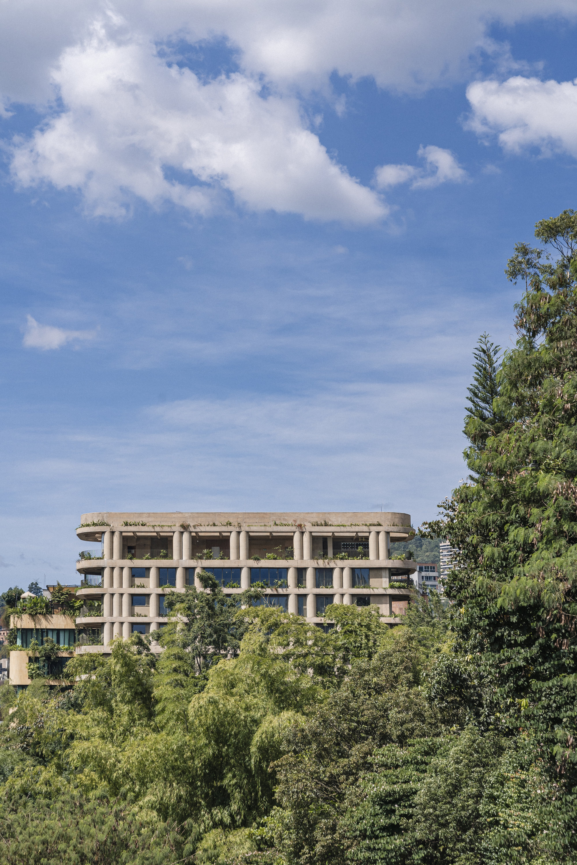 Distant view of the upper floors with rounded concrete slabs and slender columns, framed by green foliage and wispy clouds