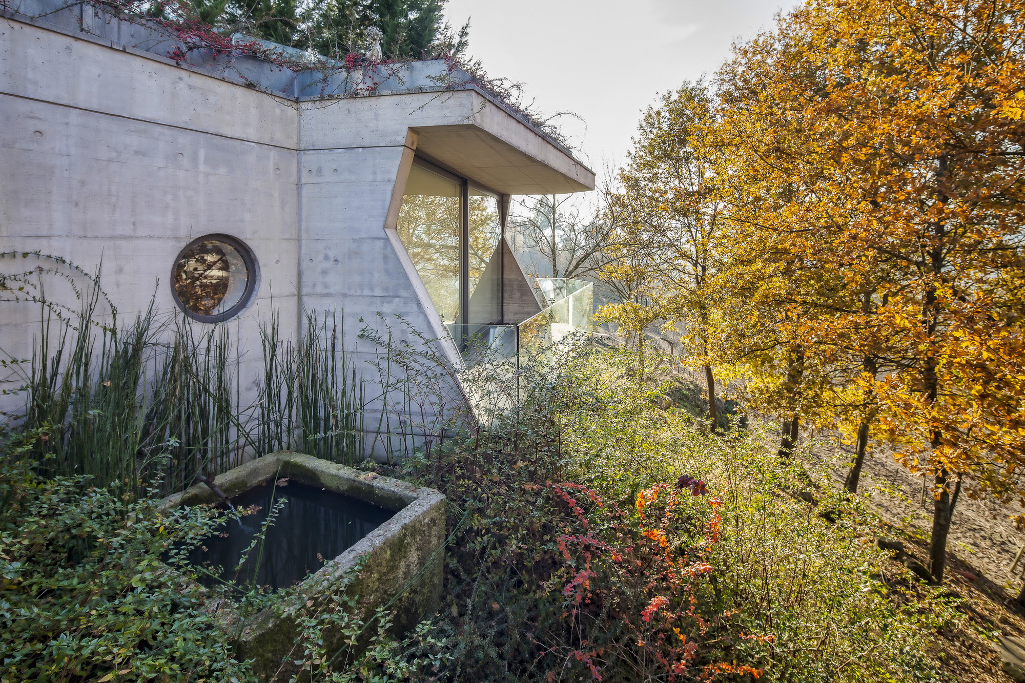 Concrete wall with a round porthole window and cantilevered glass corner, framed by reeds and a stone trough in autumn light