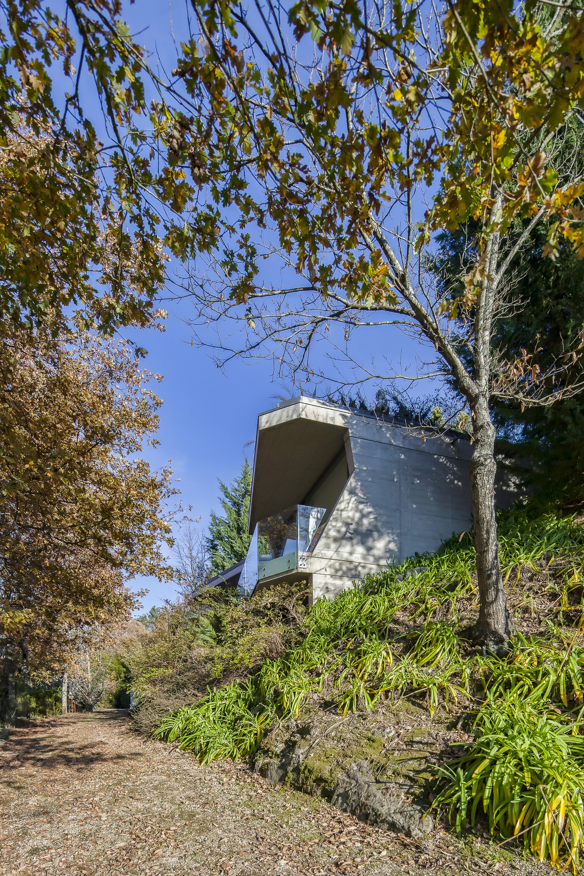Concrete volume with a projecting canopy and glass balustrade above a grassy slope, seen through autumn branches under blue sky