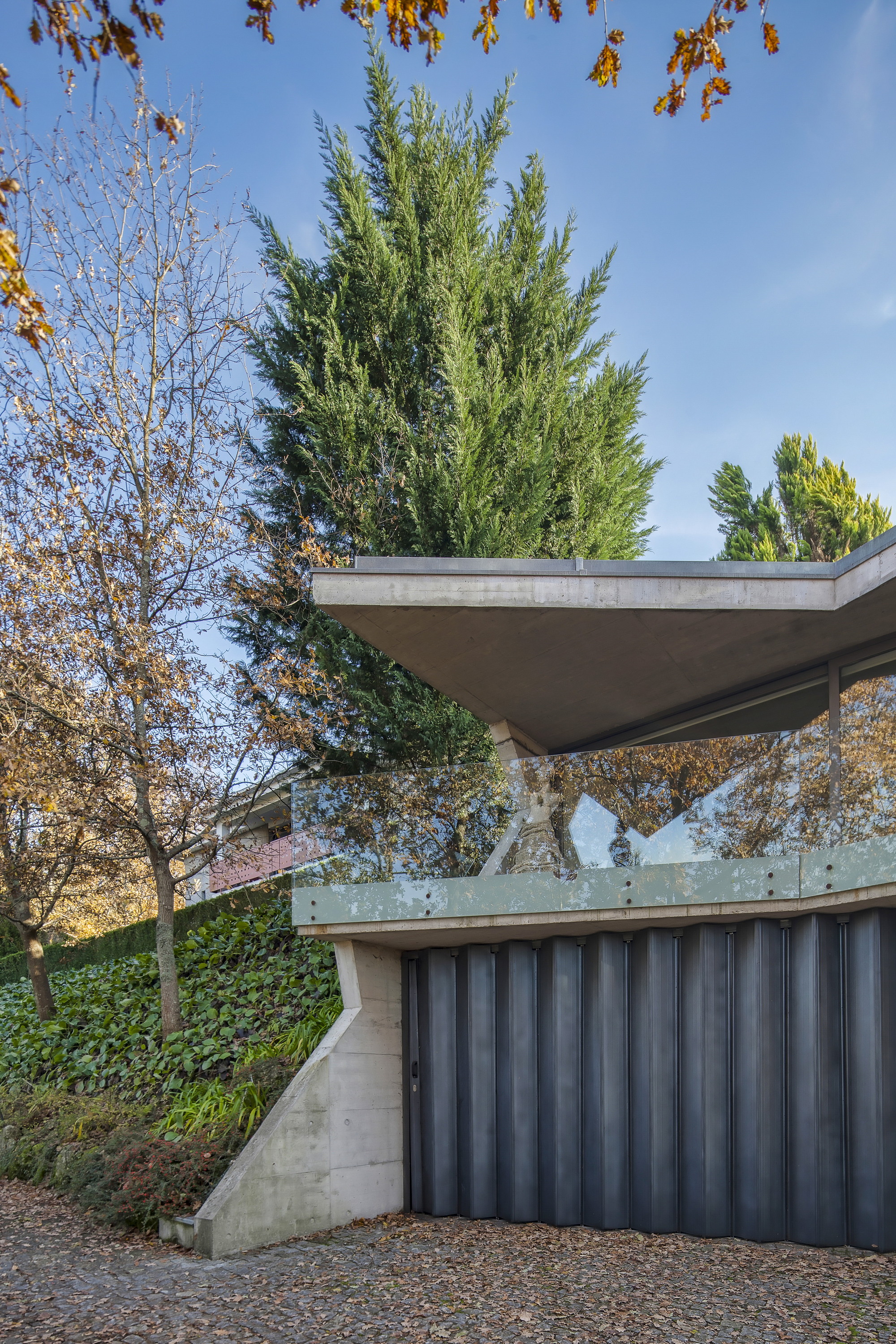 Concrete canopy over a glass balustrade and corrugated dark metal panel, with fallen leaves on the gravel and a tall cypress behind