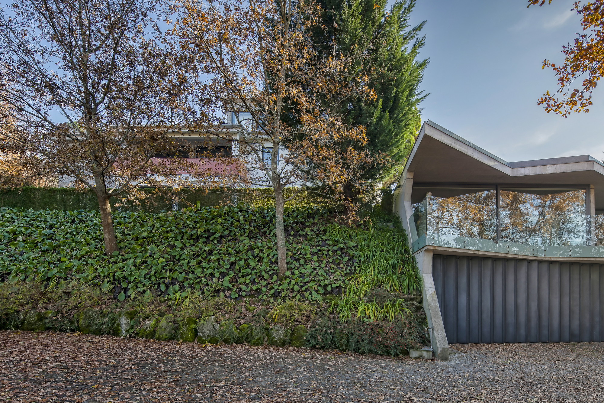 Angled concrete carport structure with dark vertical cladding and glass balustrade beside an ivy-covered slope with bare autumn trees
