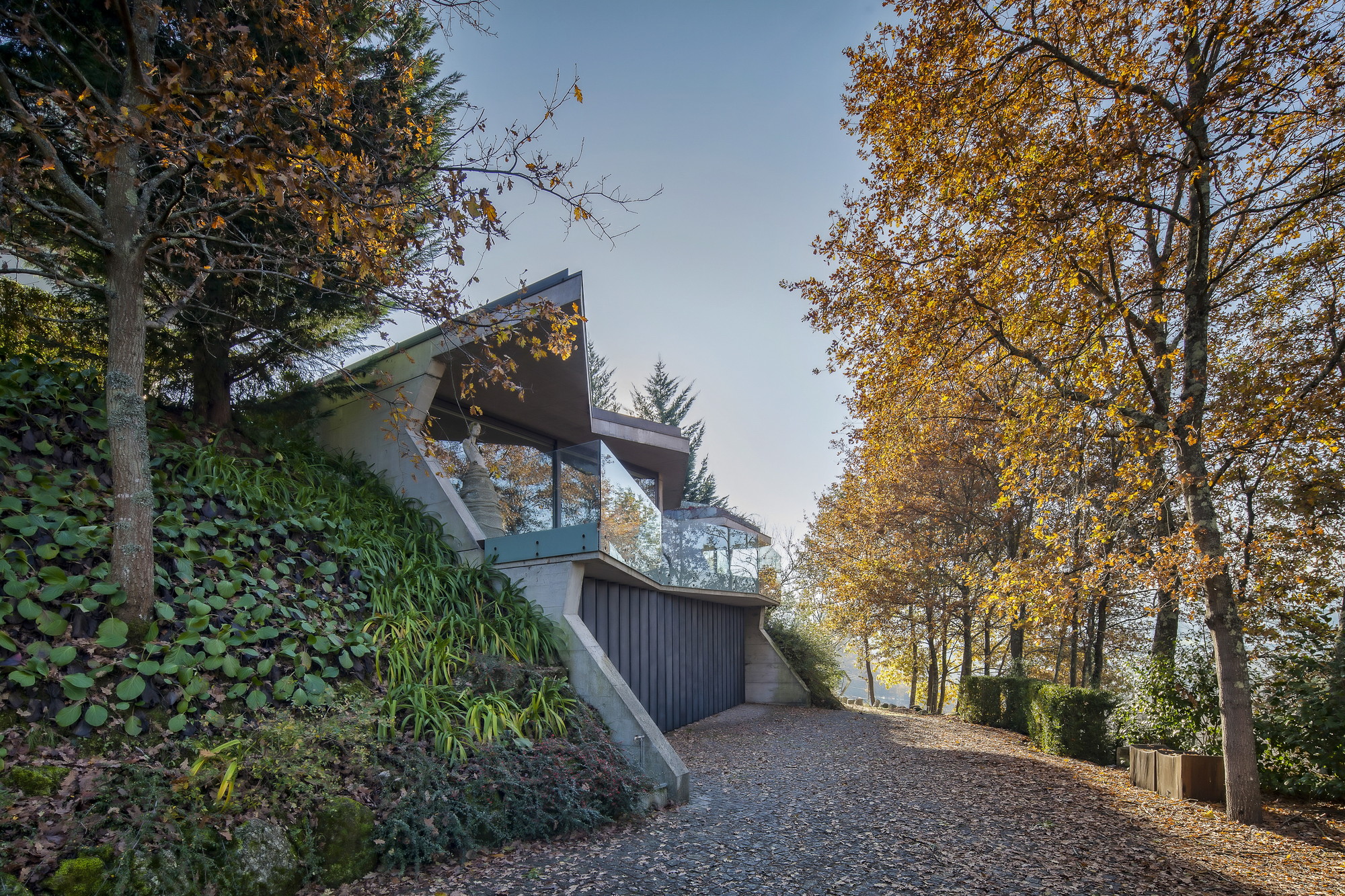 Gravel drive leading past a faceted concrete volume with glass balustrade, framed by golden autumn trees and a planted bank